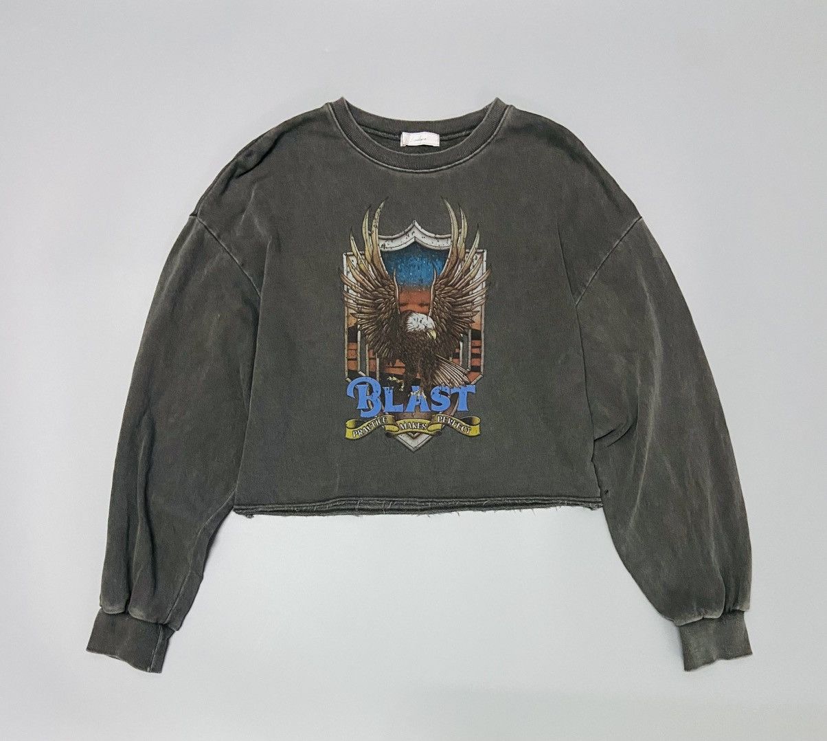 Other BLAST Eagle Graphic Cropped CREW NECK SWEATSHIRT Size M / US 6-8 / IT 42-44 - 4 Thumbnail