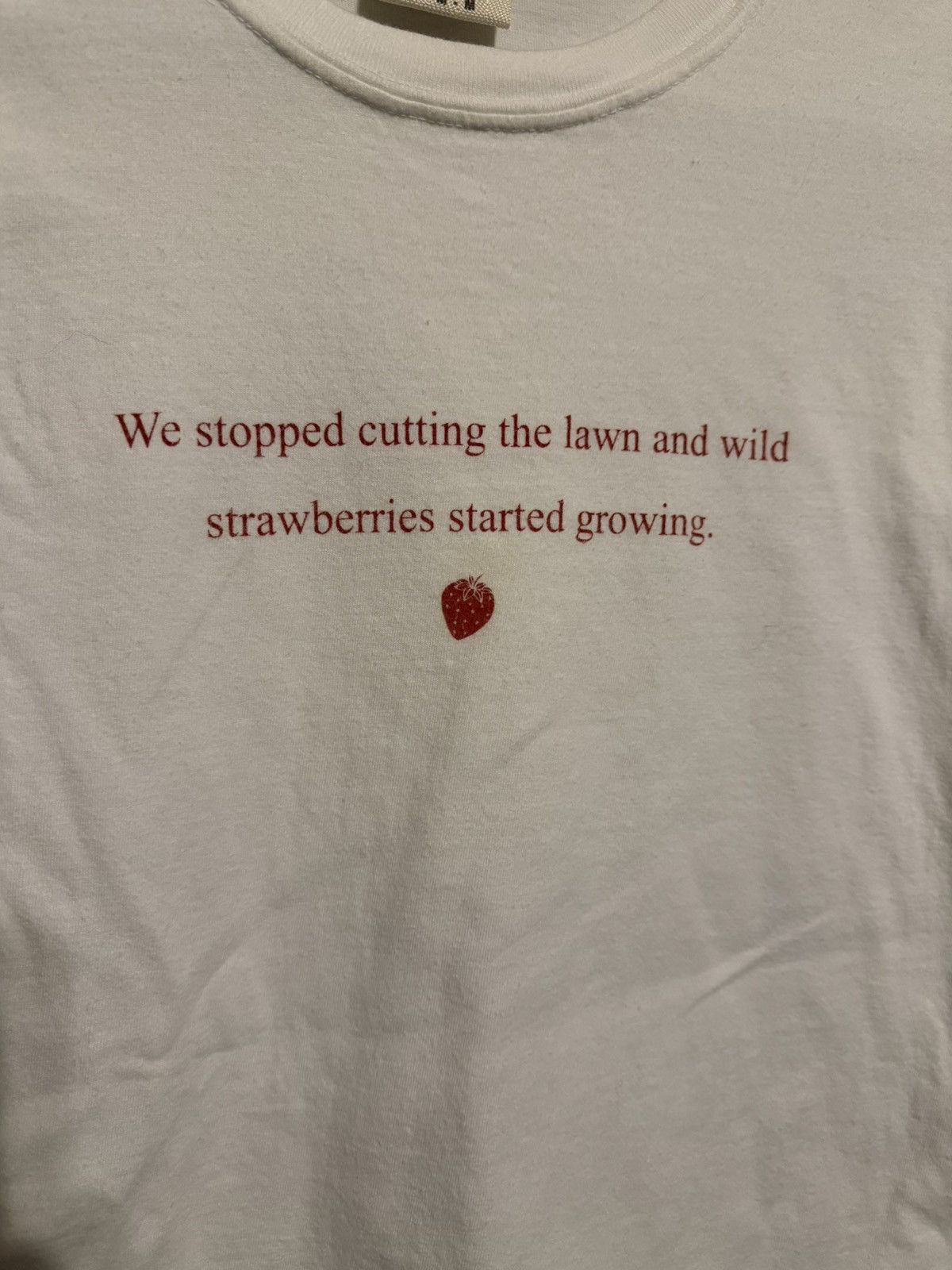 Other Felly X 2273 Records - Wild Strawberries T-Shirt Size US M / EU 48-50 / 2 - 2 Thumbnail