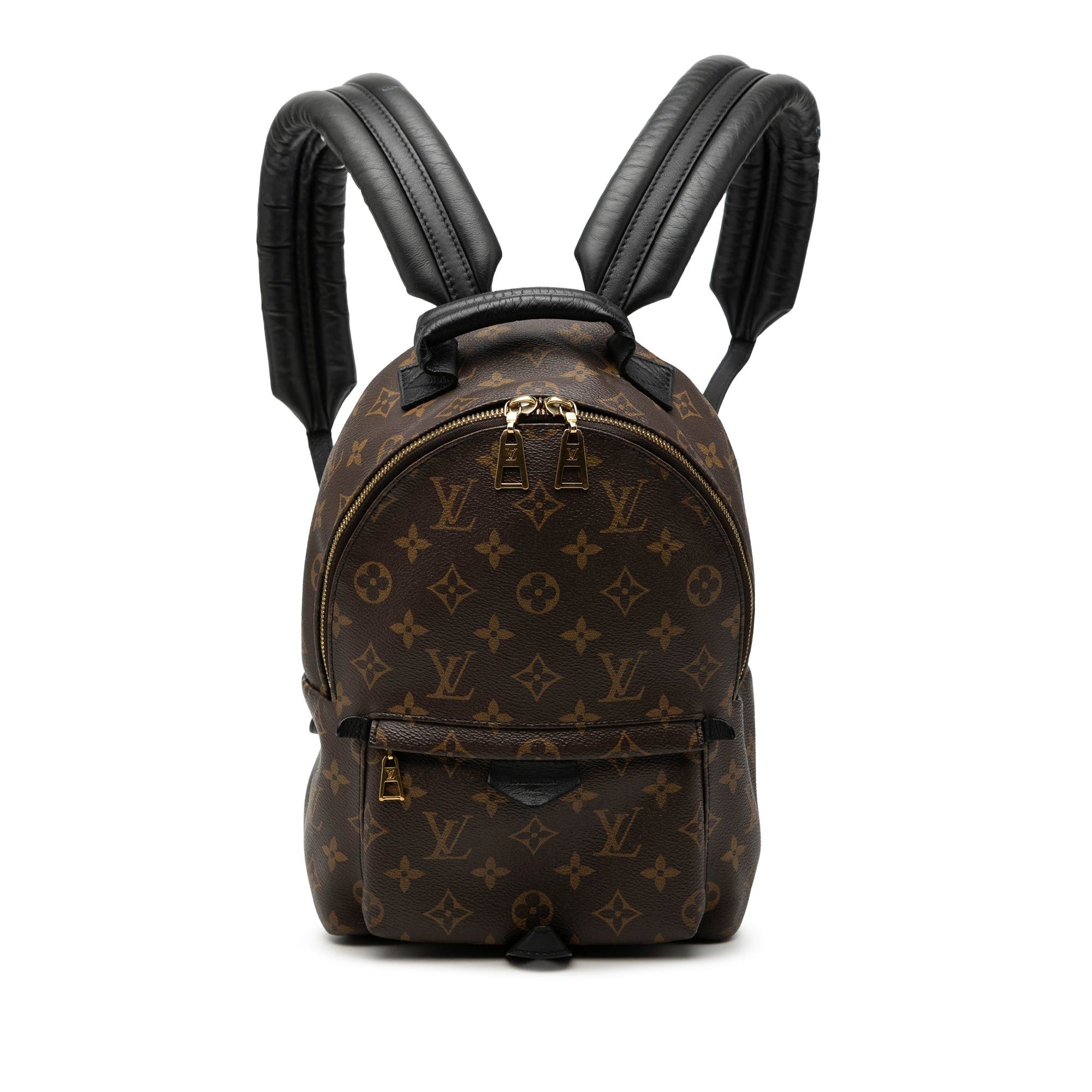 Louis Vuitton Monogram Palm Springs PM Size ONE SIZE - 1 Thumbnail