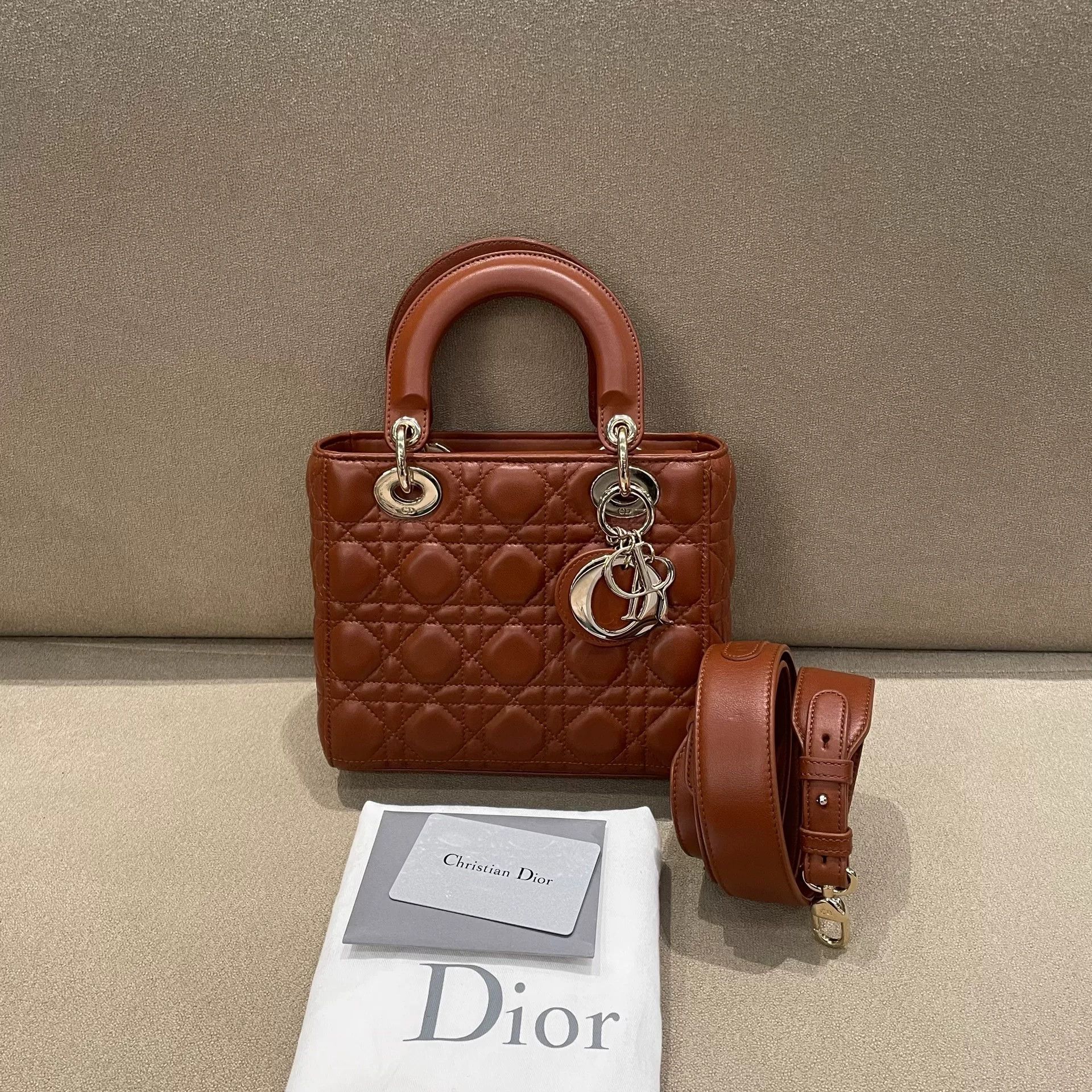 Dior Pre-loved Bag Brand new condition Size ONE SIZE - 1 Thumbnail
