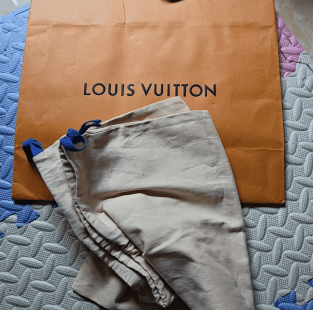 Louis Vuitton Louis Vuitton low-top sneakers Size US 9 / EU 42 - 9 Thumbnail