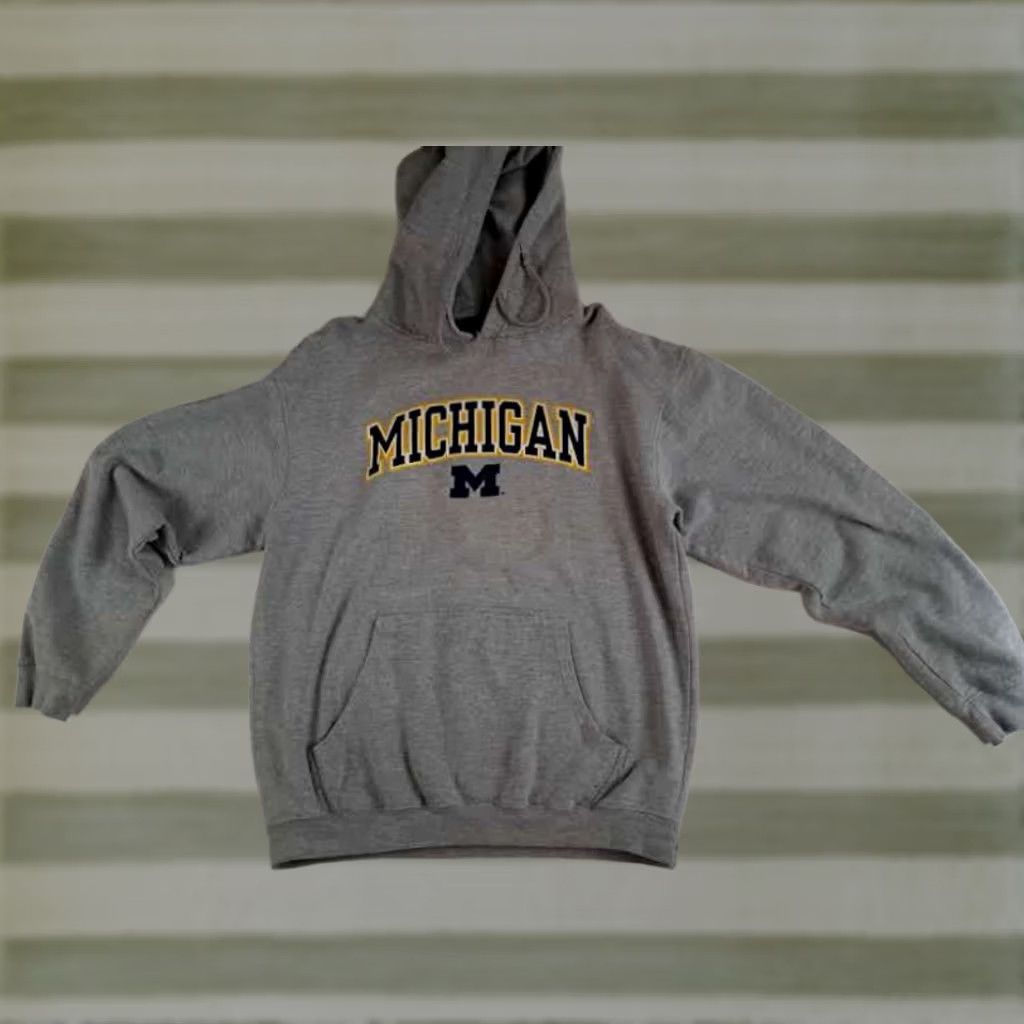 Vintage Pro Edge U of Michigan Wolverines Hoodie Pullover Gray Medium M Men Hooded Pockets Size US M / EU 48-50 / 2 - 1 Thumbnail