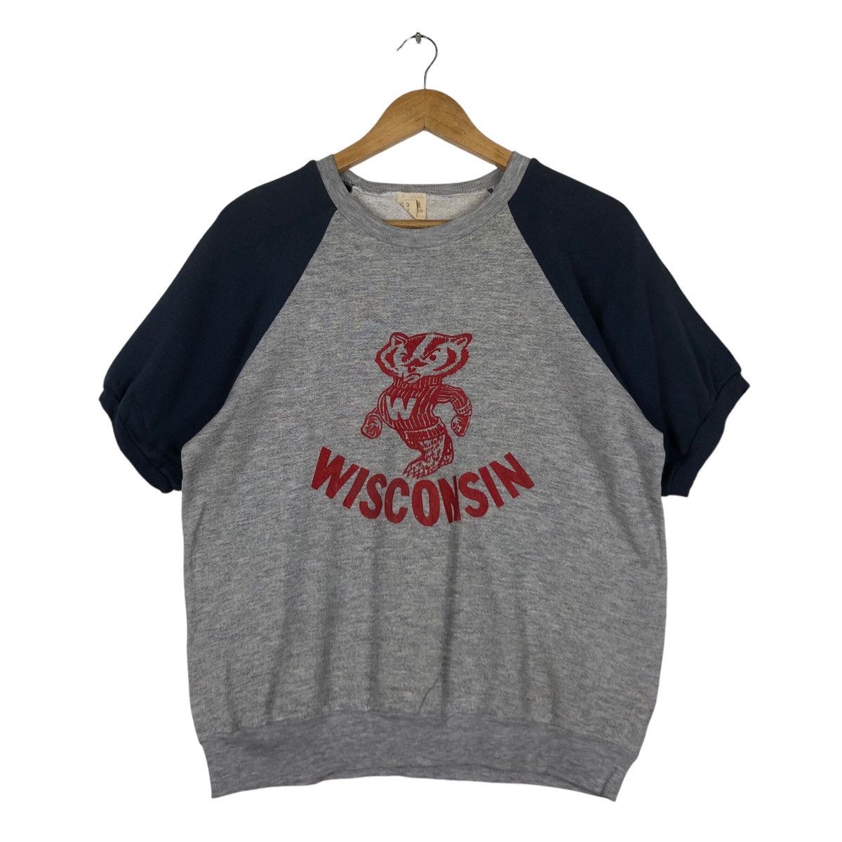 Fruit Of The Loom × Japanese Brand × Vintage Vintage Visconsin Fruits OF Loam Sweatshirt medium Size US M / EU 48-50 / 2 - 1 Thumbnail