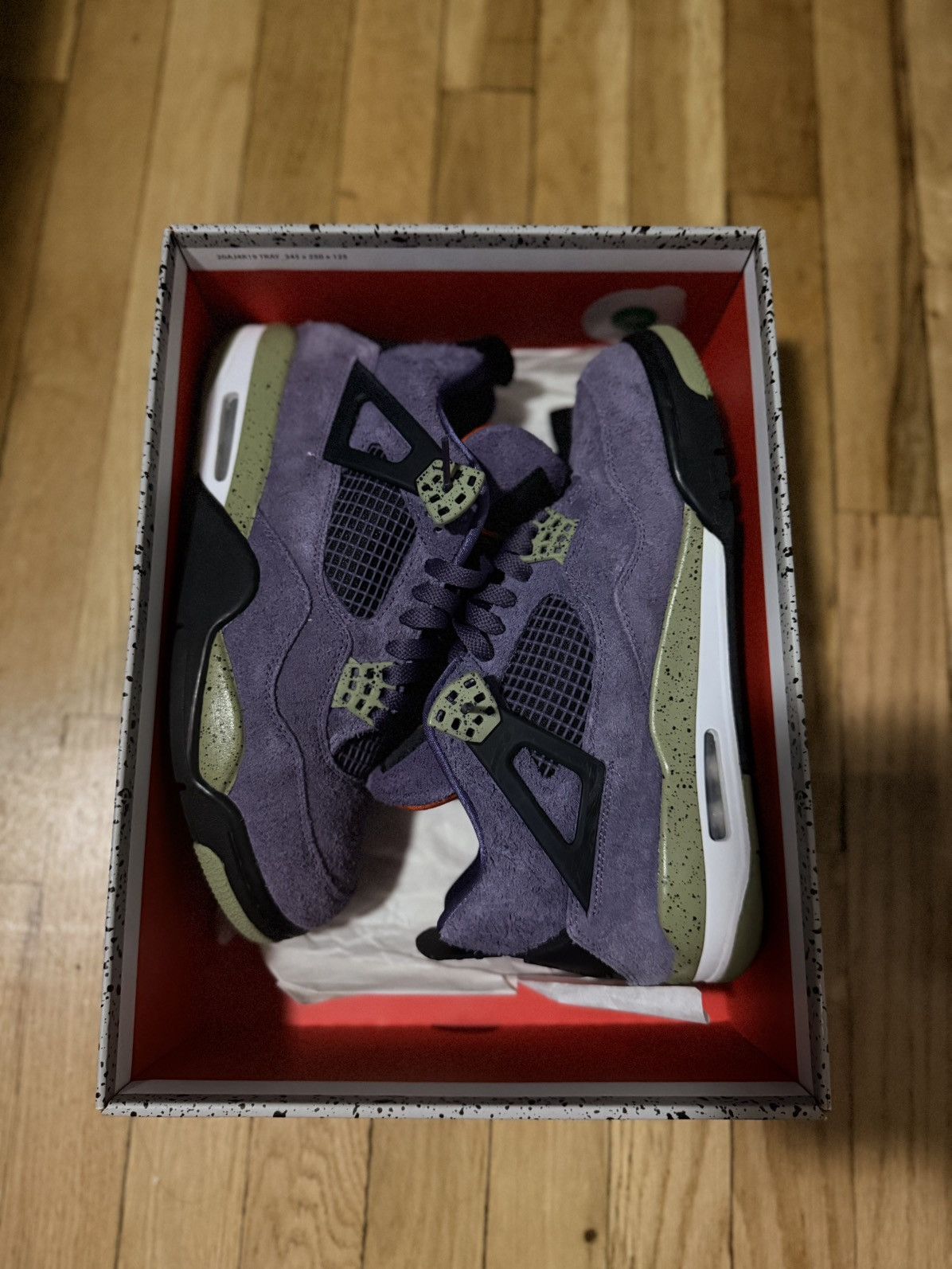 Jordan 4 Purple Canyon