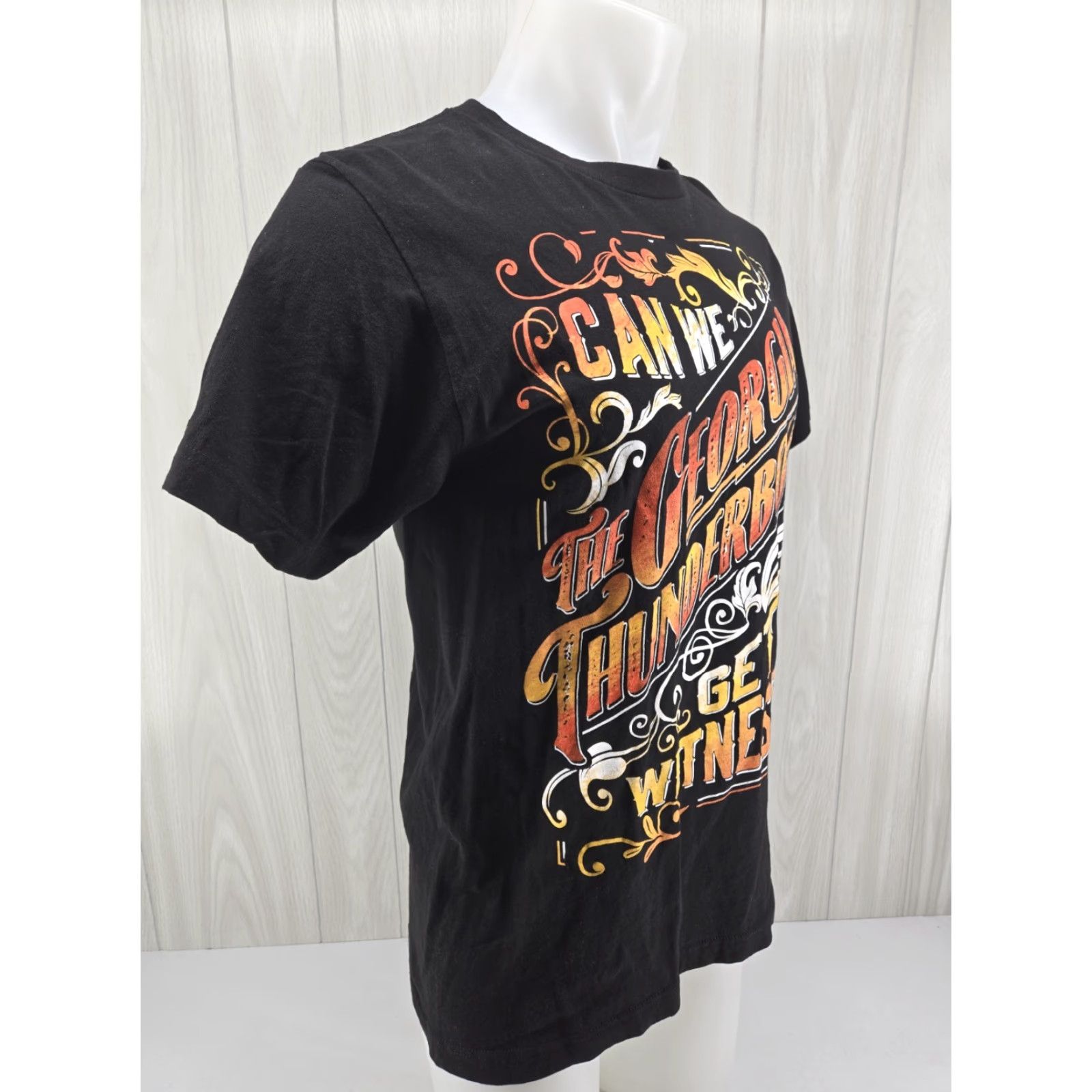 Tultex VINTAGE The Georgia Thunderbolts Can We Get A Witness T Shirt Black Cotton M Mens Short Sleeve Crew Neck 2020-2029 Tultex Sportsman All Seasons Size US M / EU 48-50 / 2 - 6 Thumbnail
