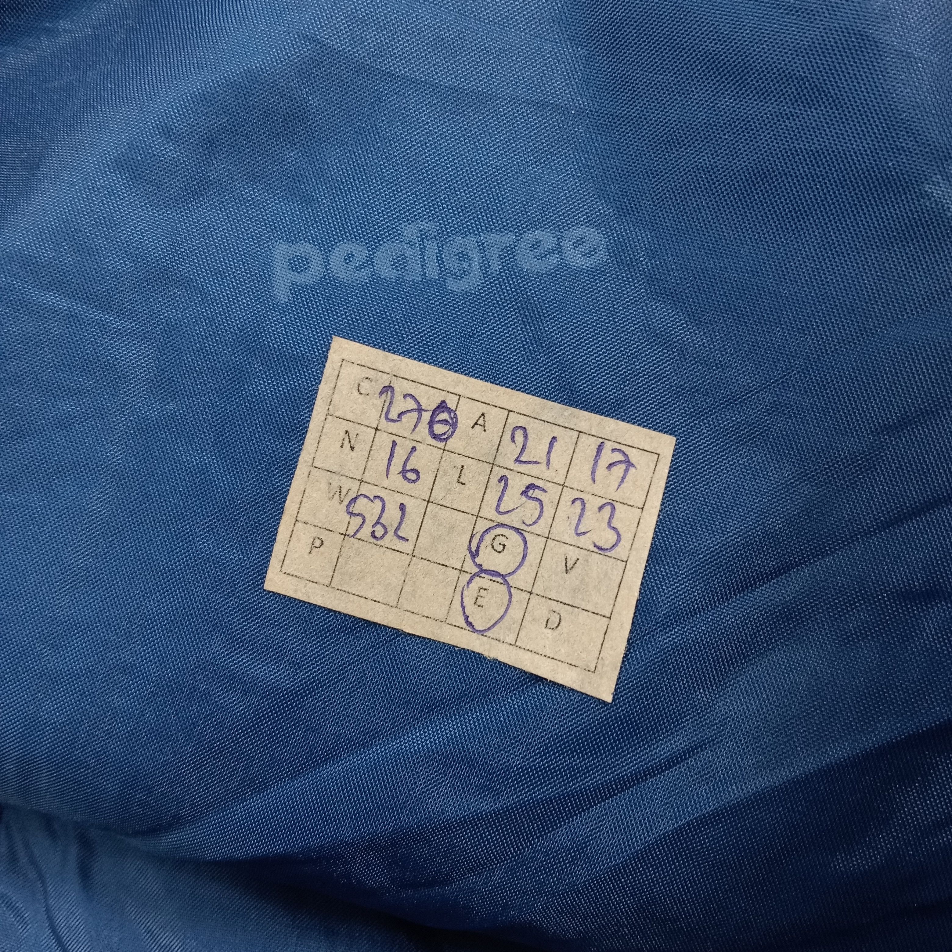 Other Pedigree Color Block Canada Winter Jacket C270N16 Size US M / EU 48-50 / 2 - 12 Thumbnail