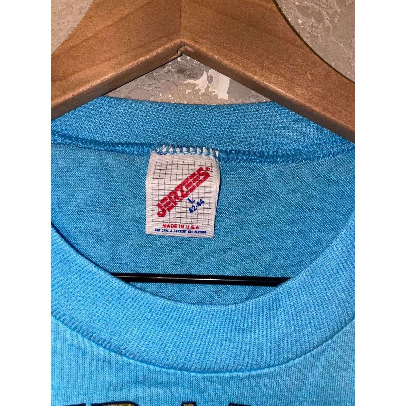 Jerzees Vintage San Francisco Shirt Wildlflowers Wild Blue Tee 90s L Size US L / EU 52-54 / 3 - 8 Thumbnail