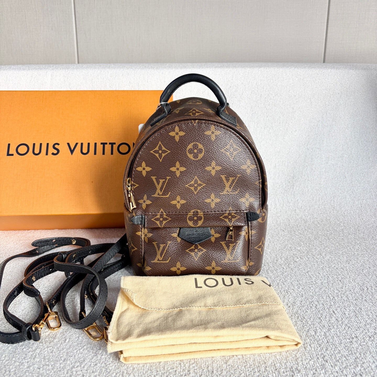 Louis Vuitton Pre-loved Bag Very good condition Size ONE SIZE - 1 Thumbnail