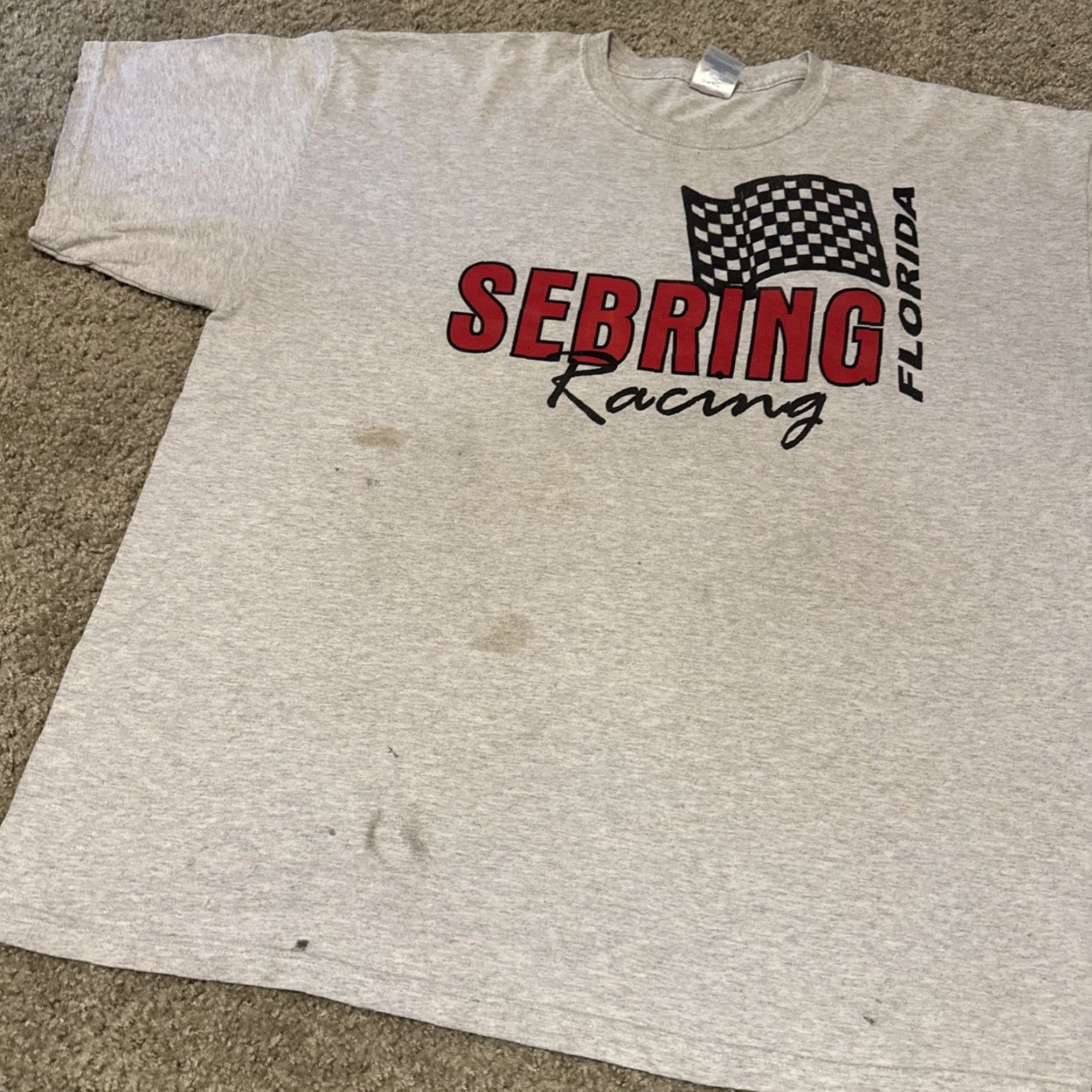 Gildan VINTAGE Sebring Racing Team Florida Grey Red T-Shirt 2XL Mens Gildan Florida 90s Racing Mens Size US XXL / EU 58 / 5 - 5 Thumbnail