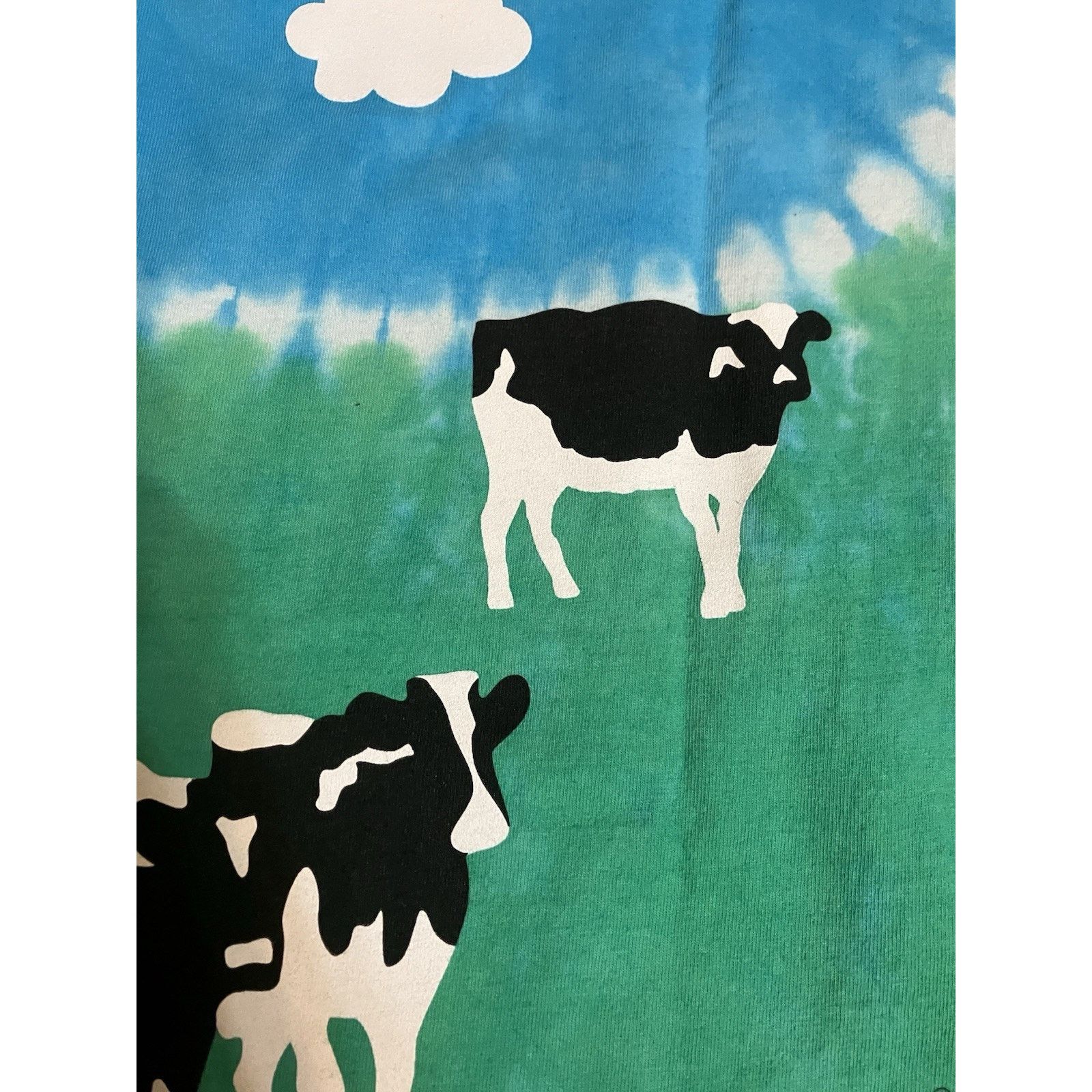 Anvil Ben & Jerry’s Euphoria AOP Ice Cream T-Shirt Size M Tie Dye Size US M / EU 48-50 / 2 - 22 Thumbnail