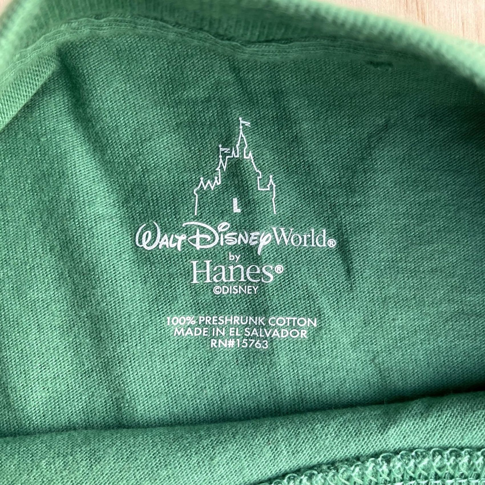 Hanes Walt Disney World Tour 2010 Shirt Mens Large Green Hanes T-Shirt Mickey Pluto Size US L / EU 52-54 / 3 - 3 Thumbnail