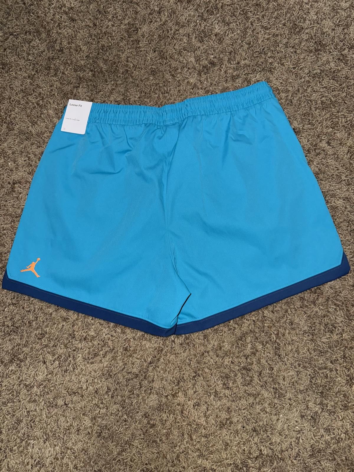 Nike Air Jordan Women's Woven Blue Aqua Shorts Size 32" / US 10 / IT 46 - 6 Thumbnail
