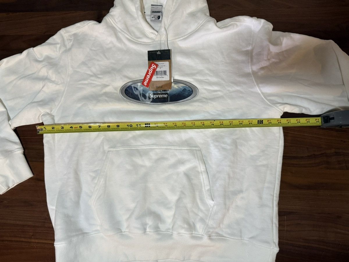 SUPREME THE NORTH FACE LENTICULAR MOUNTAINS HOODIE