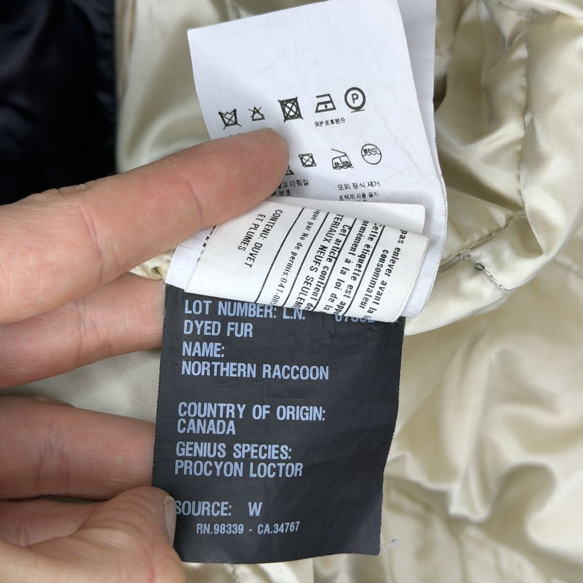 Prada Goose Down Black Fox Fur Puffer Coat Jacket 38 Milan Size XS / US 0-2 / IT 36-38 - 17 Thumbnail