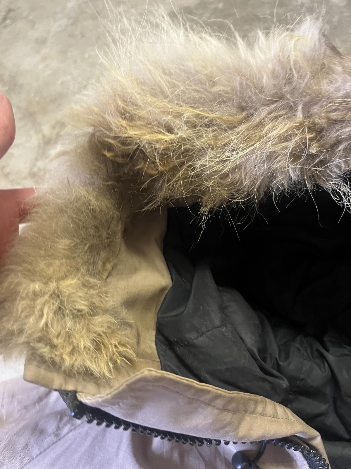 Canada Goose Canada Goose Expedition Jacket with Fur Hood Size US L / EU 52-54 / 3 - 8 Thumbnail