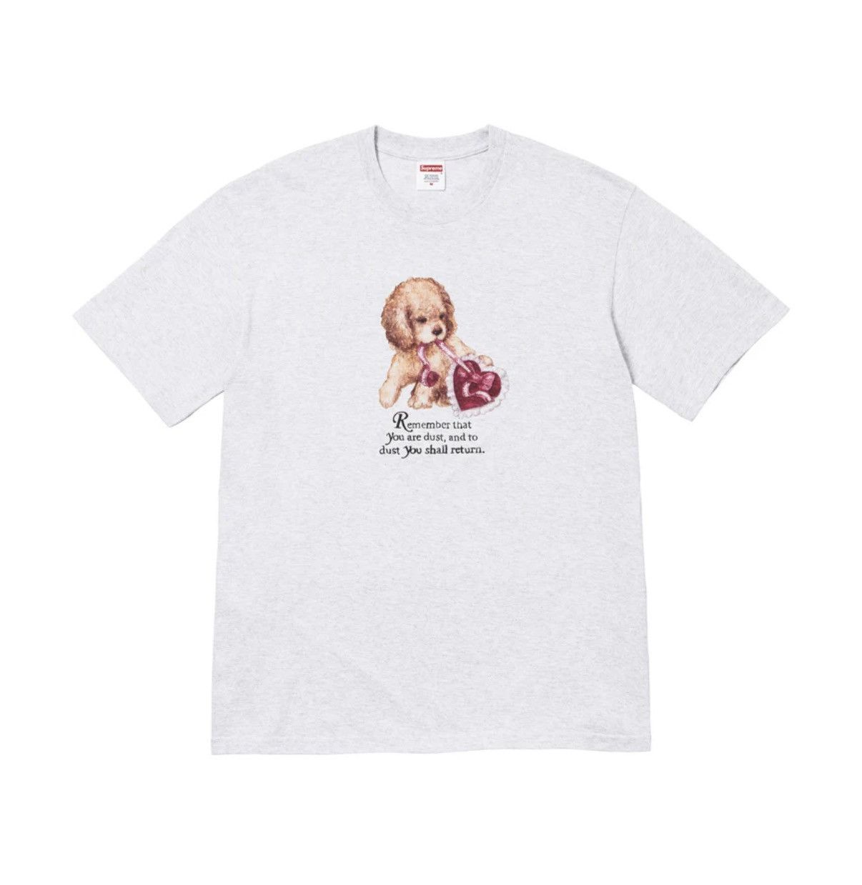 Supreme Dust tee (FW25) Size US XL / EU 56 / 4 - 1 Thumbnail