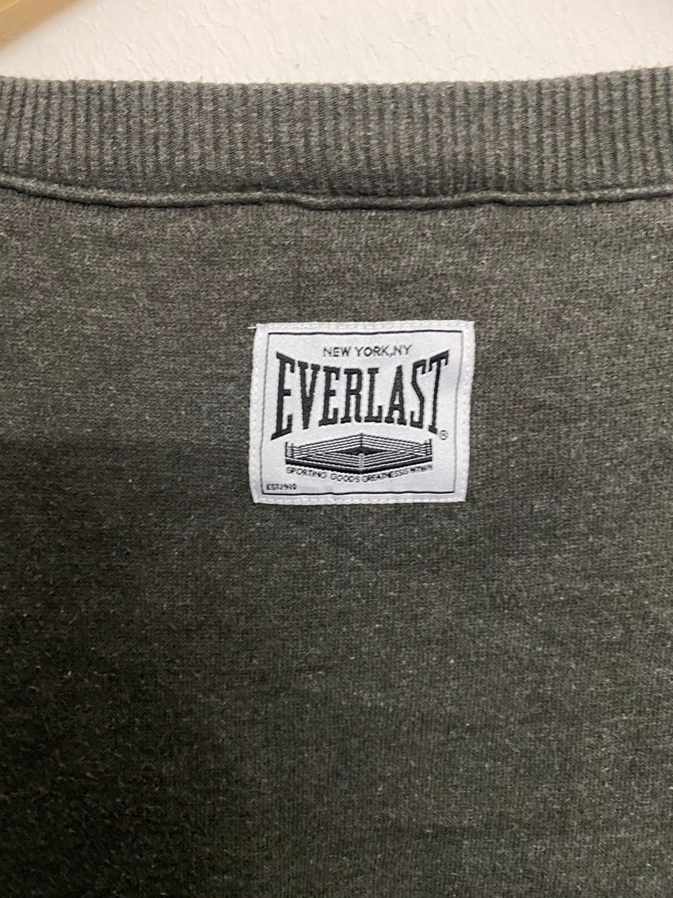 Everlast Everlast Performance Sportswear Sweatshirts Size US L / EU 52-54 / 3 - 4 Thumbnail
