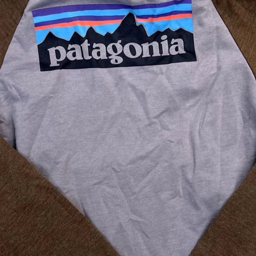 Patagonia VINTAGE Patagonia Men's P-6 Logo Lightweight Crew Sweatshirt Size S Basin Green Sweatshirt Mens 1950s 60s 70s Size US S / EU 44-46 / 1 - 5 Thumbnail