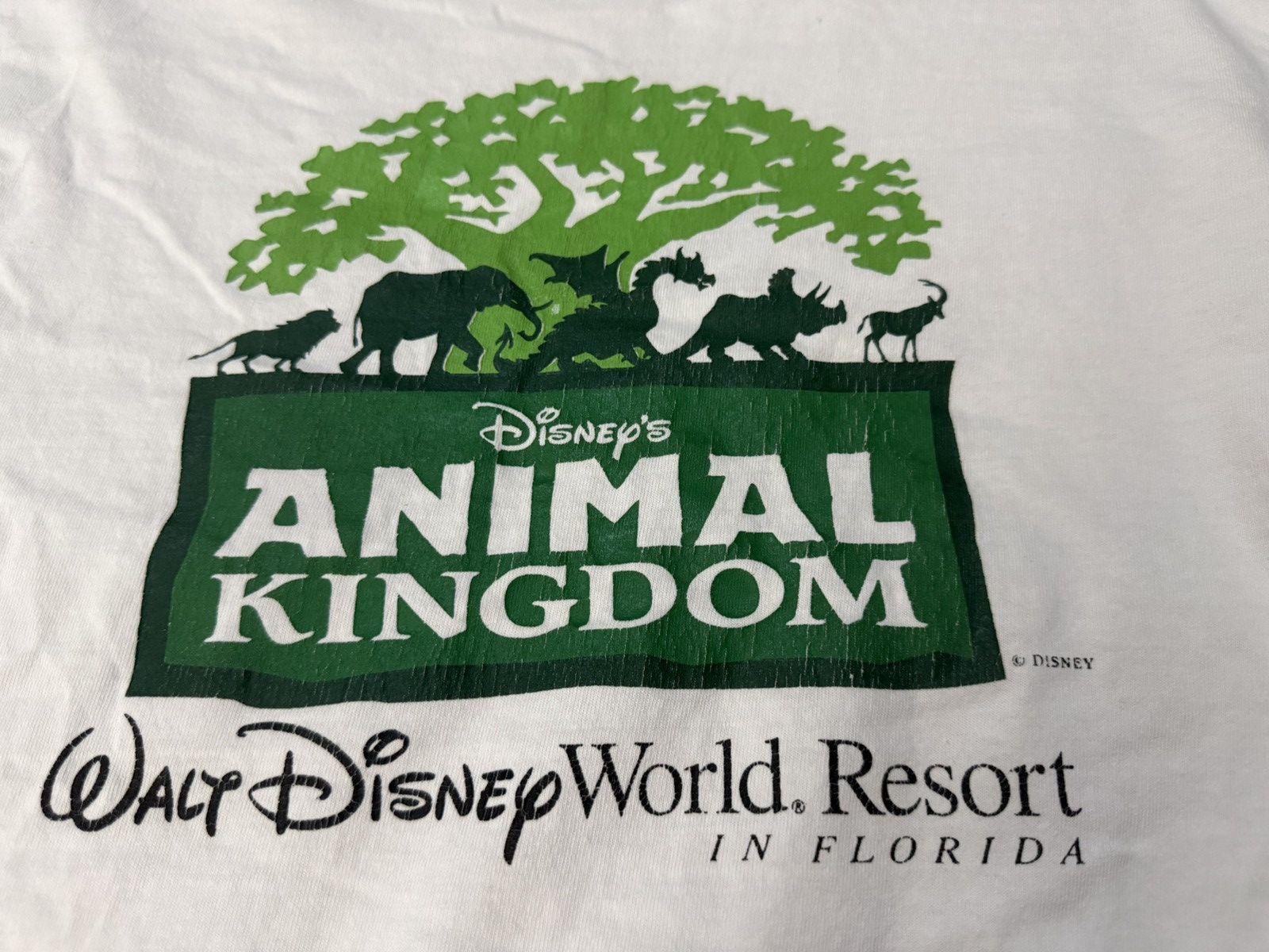 Disney Vintage 90s Disney Animal Kingdom T Shirt Size US M / EU 48-50 / 2 - 3 Thumbnail