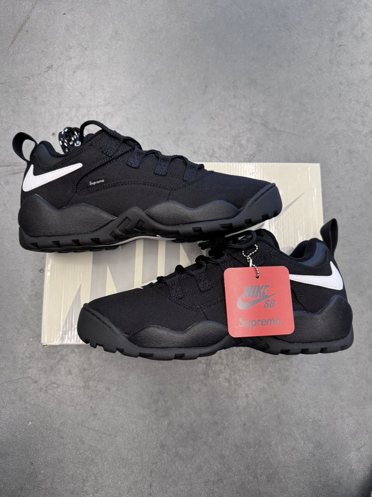 Supreme × Nike SB Darwin Low 