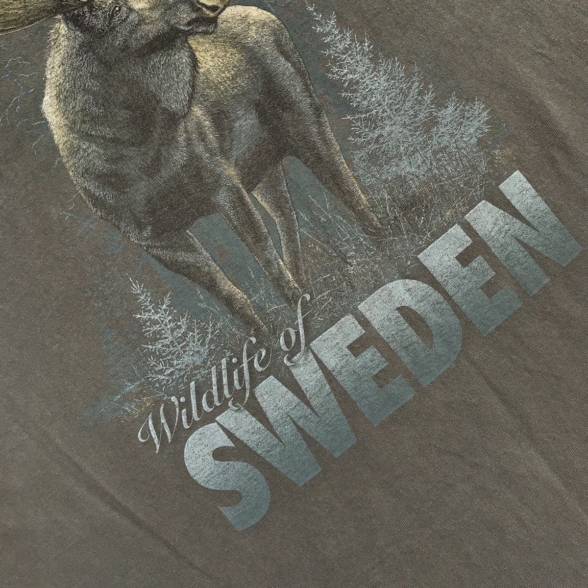 Fruit Of The Loom Candada tshirt by fruit of the loom Size US M / EU 48-50 / 2 - 5 Thumbnail
