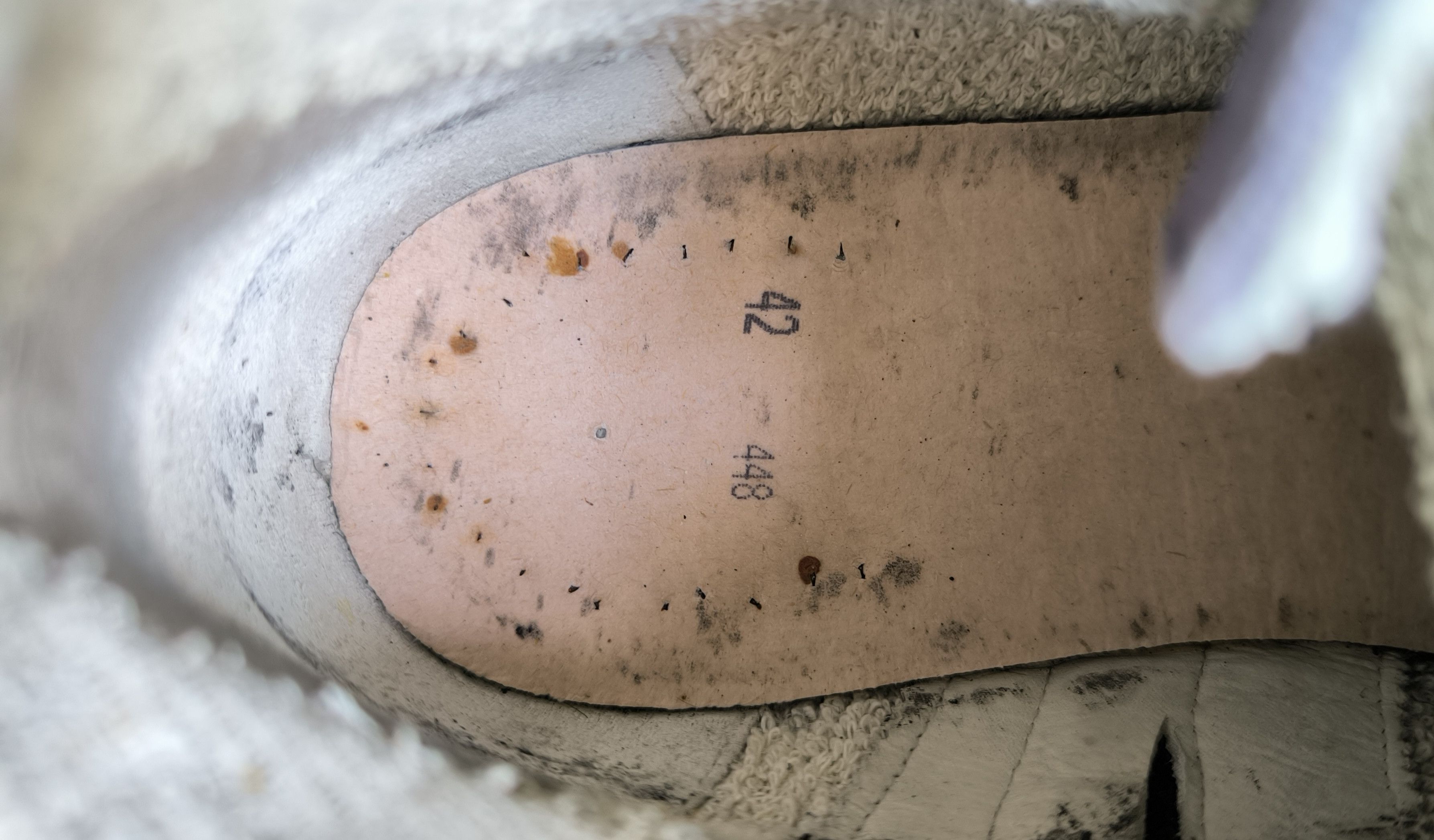 Golden Goose GOLDEN GOOSE Francy canvas high-top sneakers Size US 9 / EU 42 - 10 Thumbnail