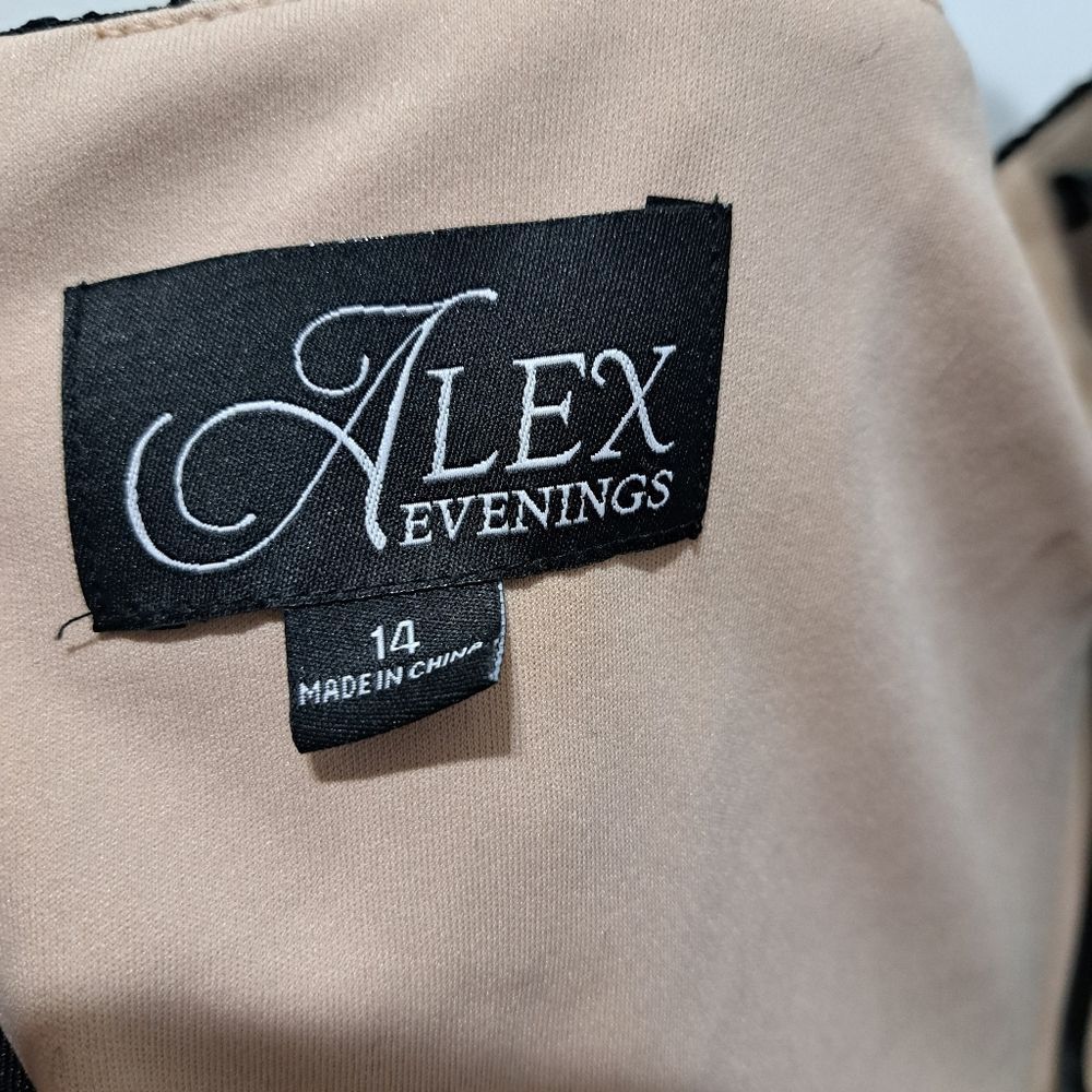 Alex Evenings Alex Evenings Long Lace Elegant Romantic Goth Maxi Gown Size Size XL / US 12-14 / IT 48-50 - 8 Thumbnail