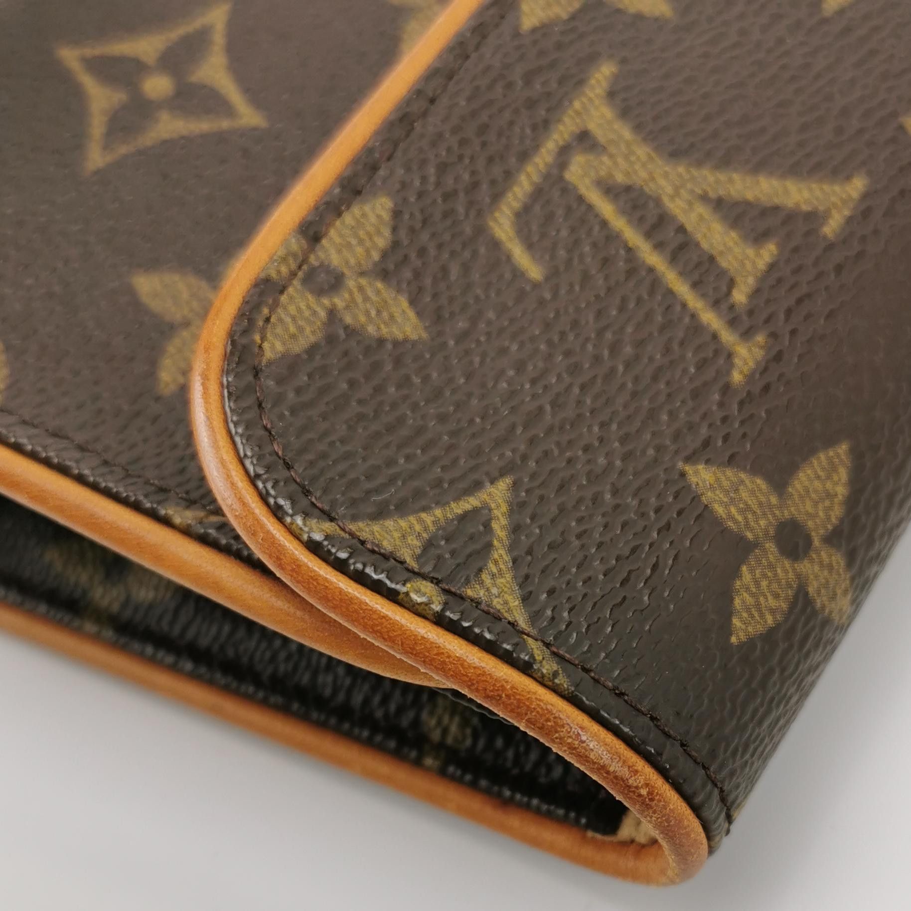 Louis Vuitton Louis Vuitton (LV) Florentine vegetable tanned leather Mono Size ONE SIZE - 7 Thumbnail