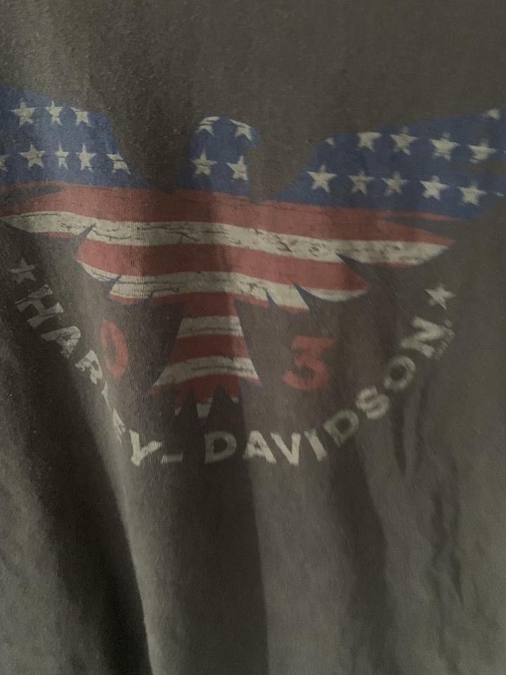 Harley Davidson Harley-Davidson Delbarton Graphic T-Shirt Size US L / EU 52-54 / 3 - 3 Thumbnail
