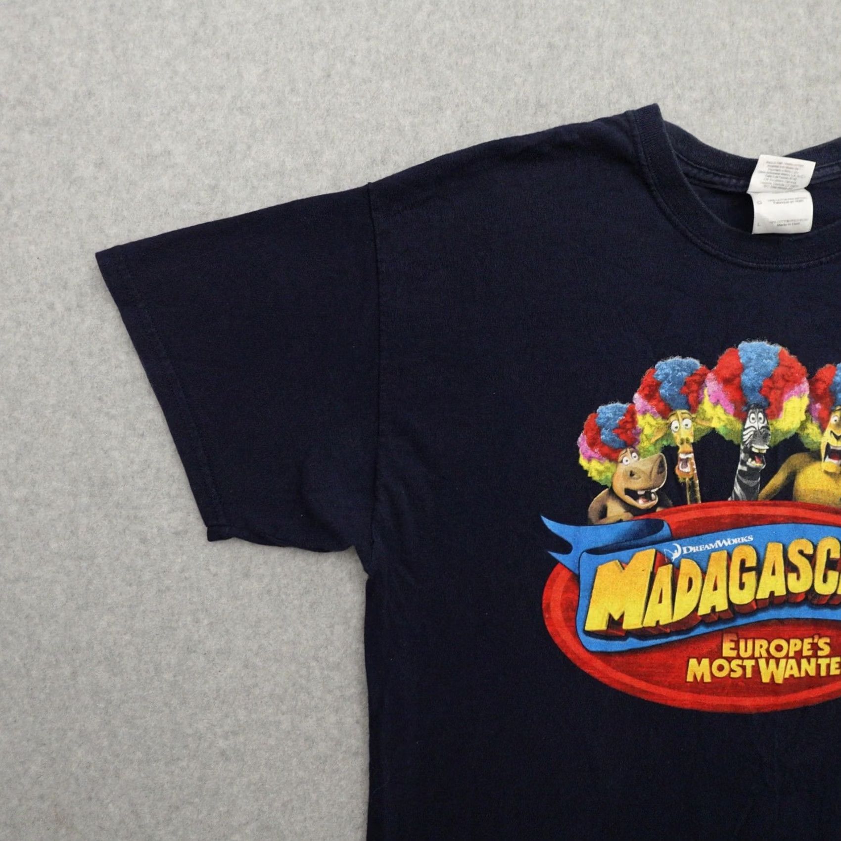 Gildan GILDAN Madagascar T-Shirt Blue Large (21X28) Adult Mens Short Sleeve M E A S U R E M E N T S A R E P R O V I D E D IN PICTURES Size US L / EU 52-54 / 3 - 6 Thumbnail