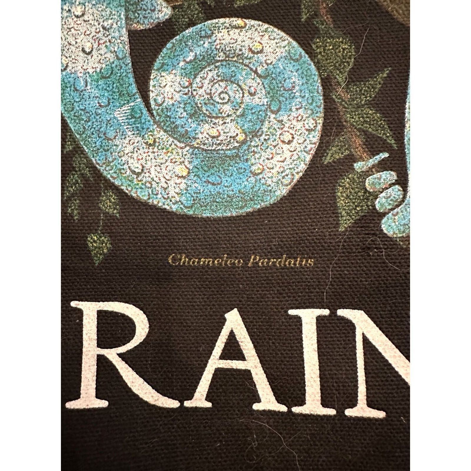 Vintage VINTAGE 1994 Rainforest Chameleo Pardatis Canvas ToteBag Black 18”x18” Tote Womens Canvas Bag Size ONE SIZE - 3 Thumbnail