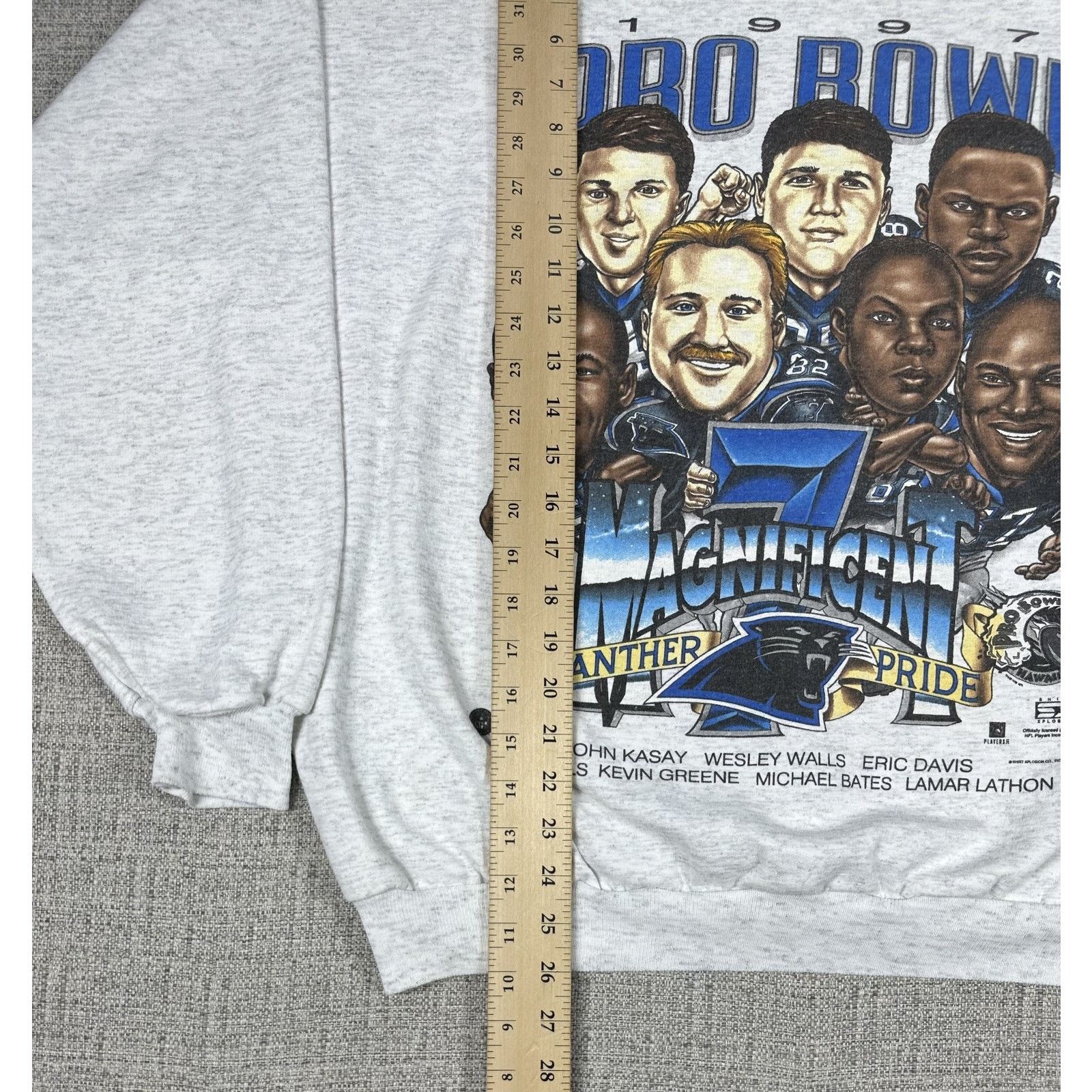 Other Carolina Panthers Sweatshirt Sz L NFL Caricature Big Head 90 Size US L / EU 52-54 / 3 - 3 Thumbnail