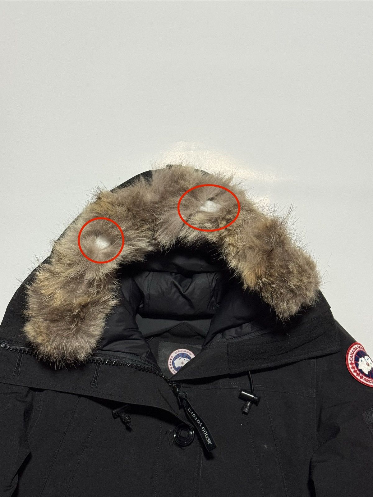 Canada Goose Canada Goose Montebello parka Size S / US 4 / IT 40 - 10 Thumbnail