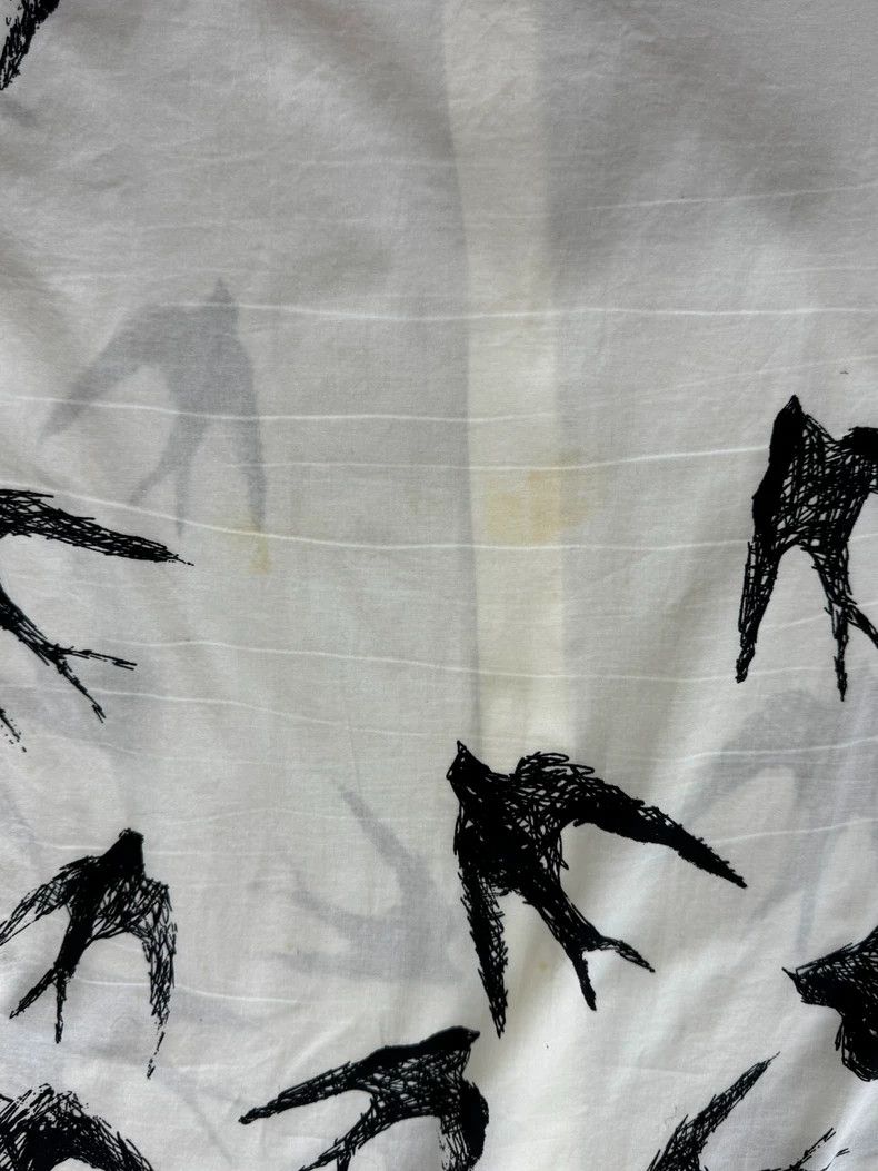 Alexander McQueen Alexander Mcqueen Swallow print long-sleeved shirt Size US M / EU 48-50 / 2 - 9 Thumbnail