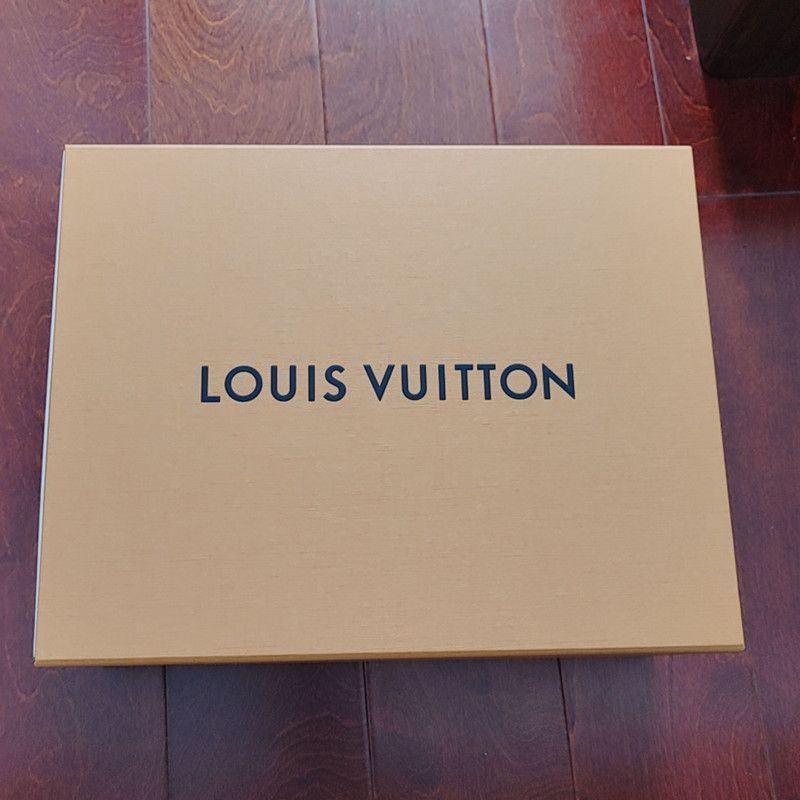 Louis Vuitton Louis Vuitton Trainer Maxi Leather Sneakers for Everyone -2 Size US 8 / EU 41 - 6 Thumbnail