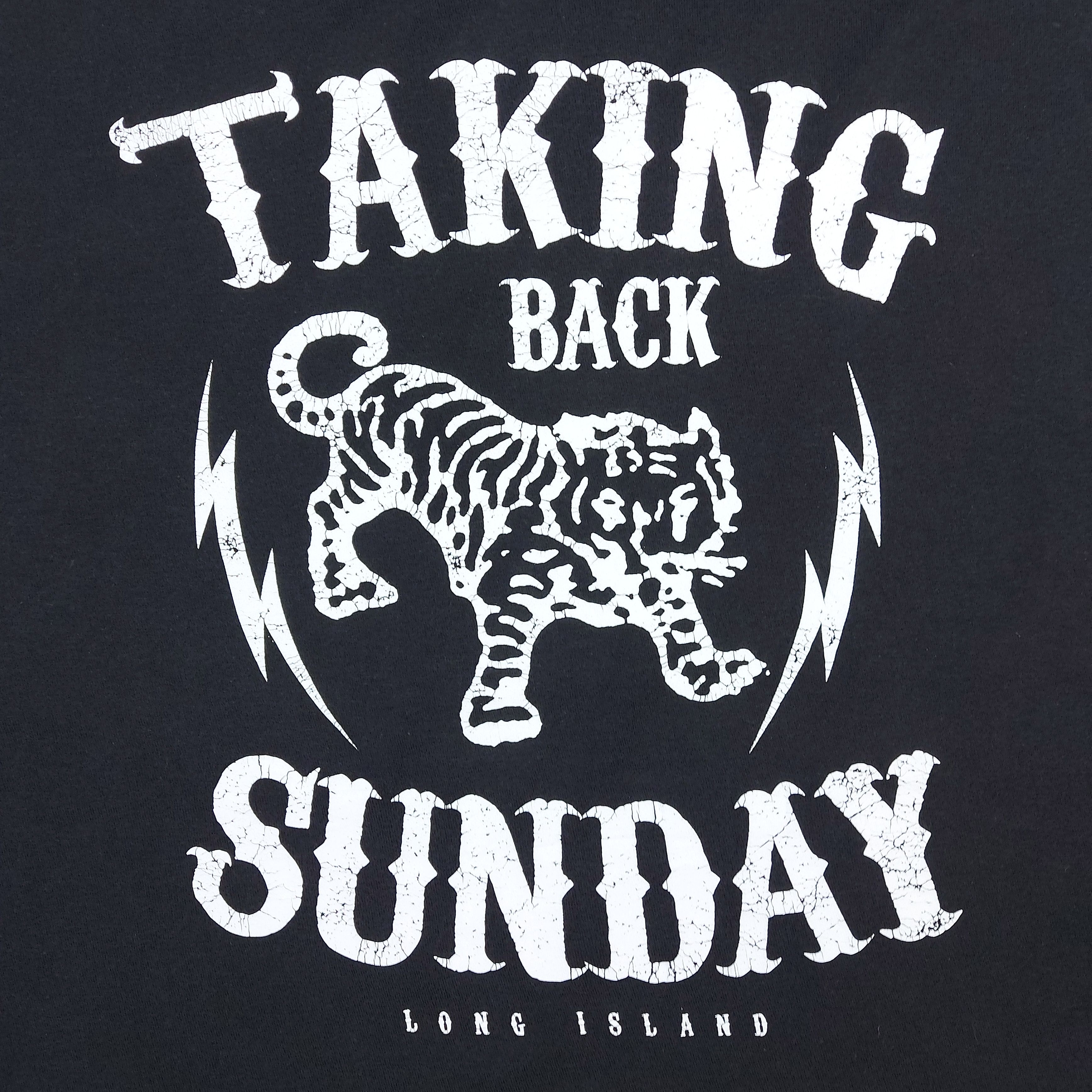 Band Tees Authentic 2014 Taking Back Sunday Band EMO Official TEE Size US XL / EU 56 / 4 - 2 Thumbnail