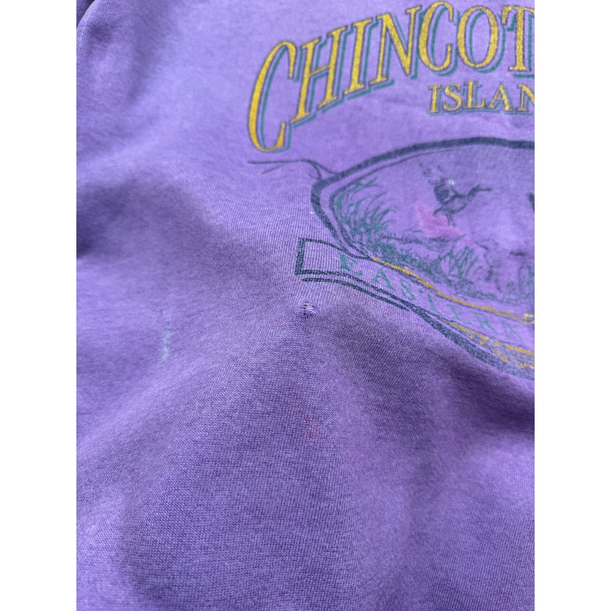 Vintage Chincoteague Island USA Distressed Sweatshirt (Y1194) Size US XL / EU 56 / 4 - 8 Thumbnail