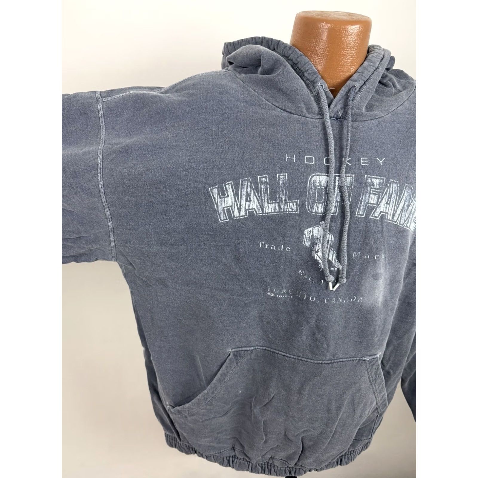 Vintage VINTAGE Bulletin Hoodie Mens XL Blue 90s Hockey Hall of Fame Pigment Dyed Pullover Hoodie Mens XL Blue 90s Grunge Retro Sports Size US XL / EU 56 / 4 - 4 Thumbnail