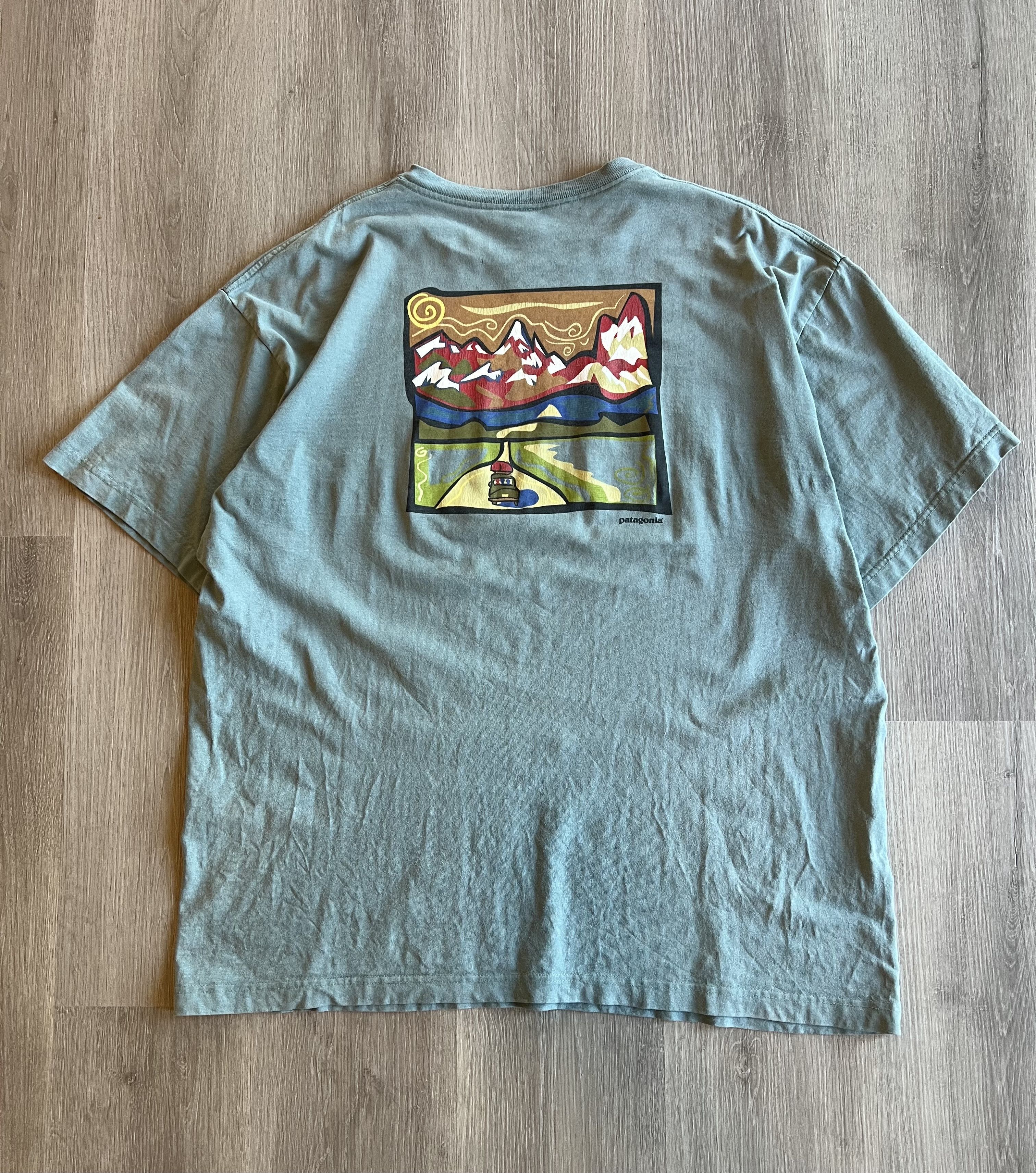 Patagonia T Shirt Beneficial | Grailed