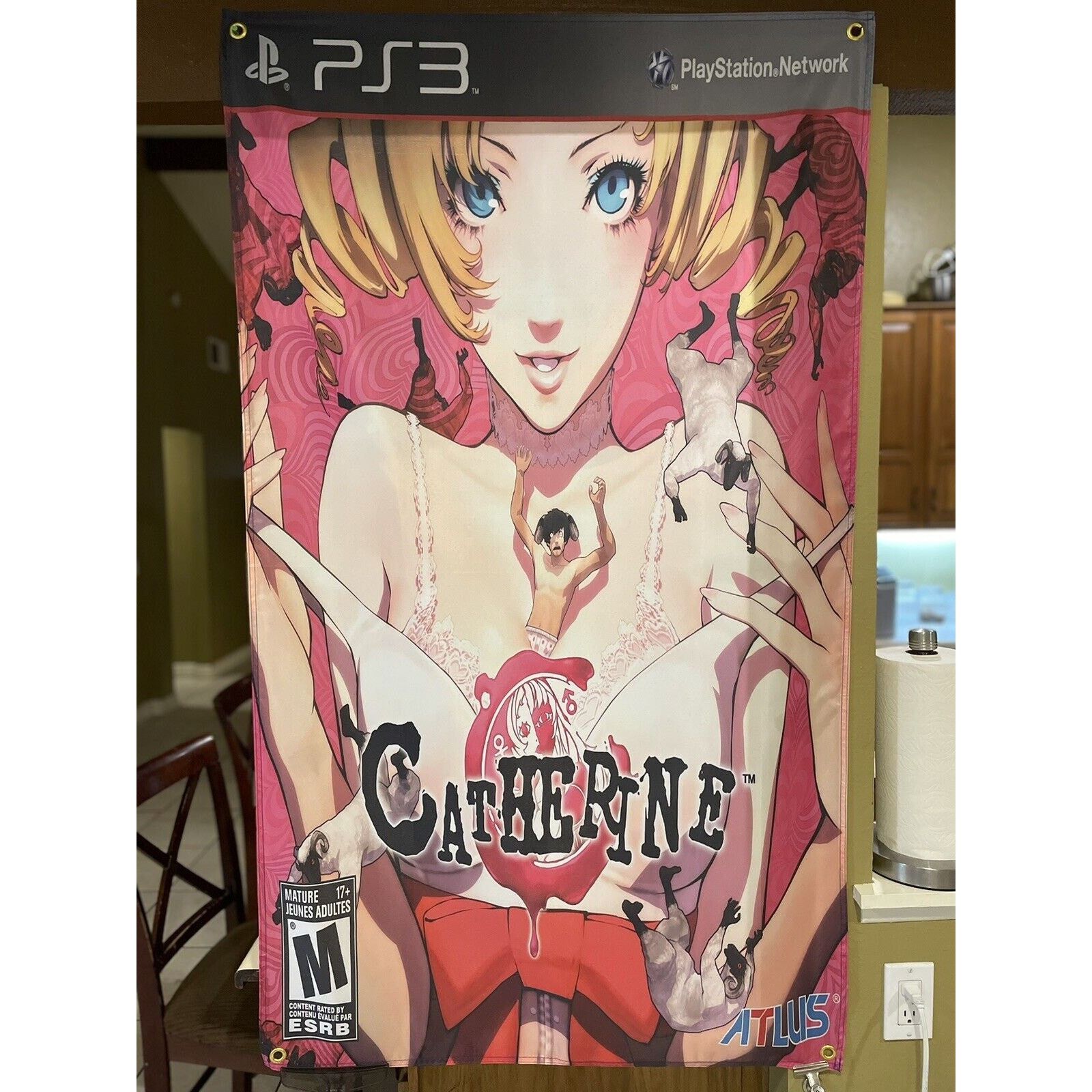 Playstation Catherine 5' Flag Banner Poster Sony PlayStation 3 PS3 Atlus Size ONE SIZE - 4 Thumbnail