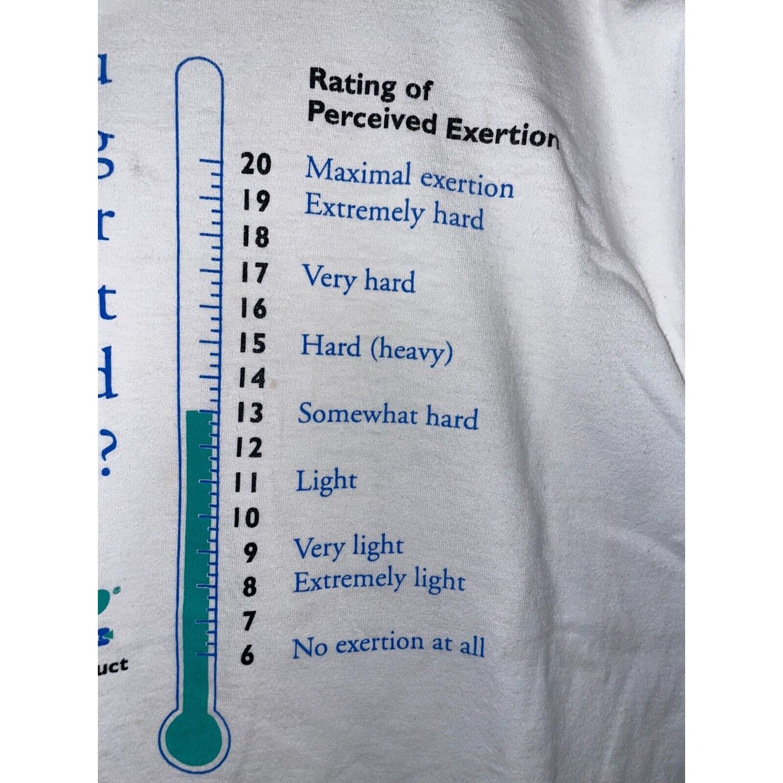 Fruit Of The Loom Vintage Training Shirt Nustep Total Body Product Tee 90s L Size US L / EU 52-54 / 3 - 3 Thumbnail