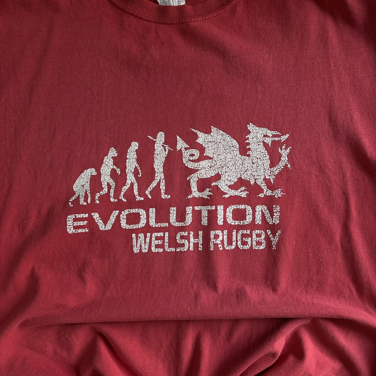 Vintage Vintage Evolution Welsh Rugby T-shirts Trashed Joke Humor Size US XXL / EU 58 / 5 - 9 Thumbnail