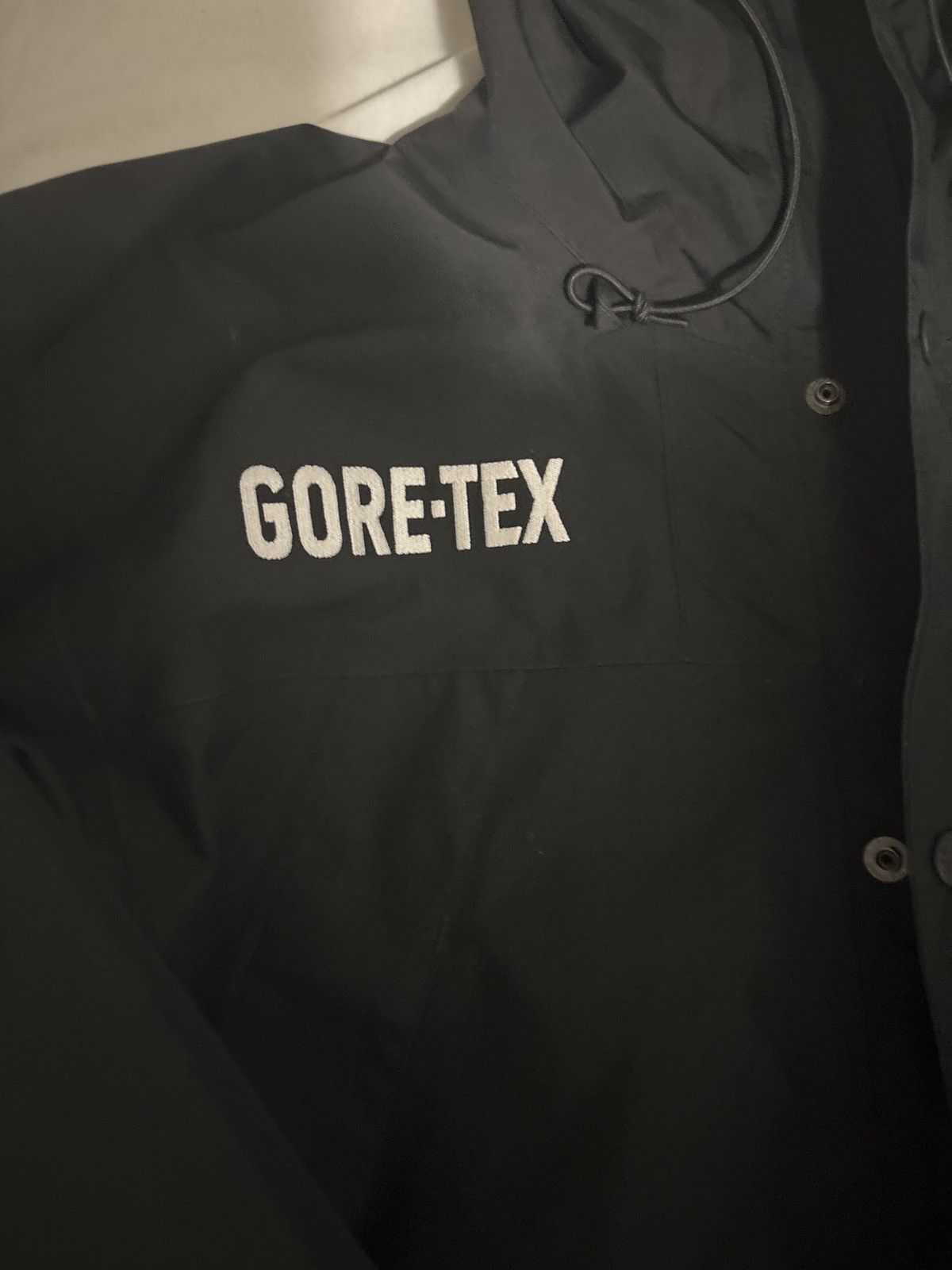 The North Face Black North Face Goretex Mountain Jacket Size US M / EU 48-50 / 2 - 2 Thumbnail