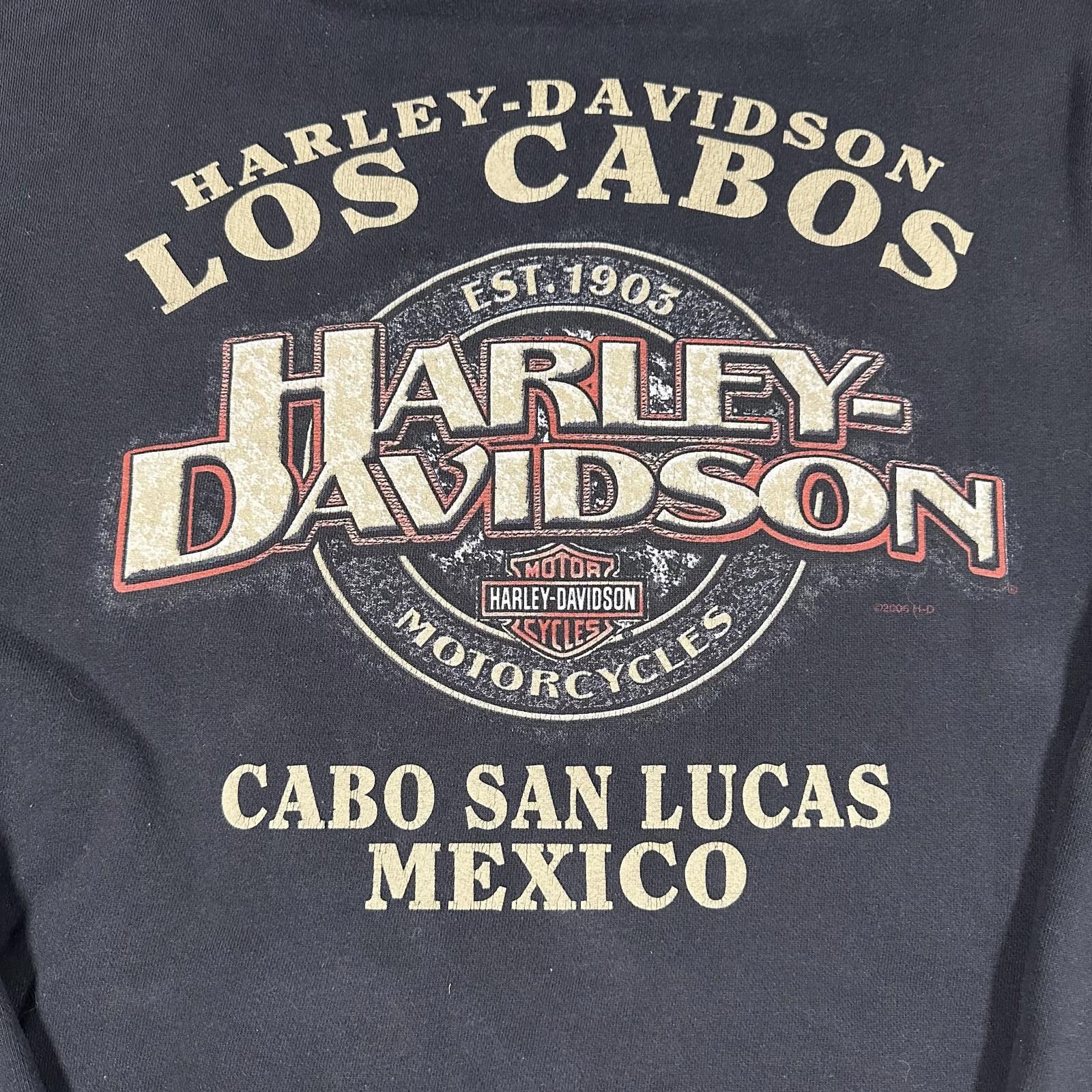 Harley Davidson Harley Davidson quarter zip hoodie faded black graphic Size US XL / EU 56 / 4 - 5 Thumbnail