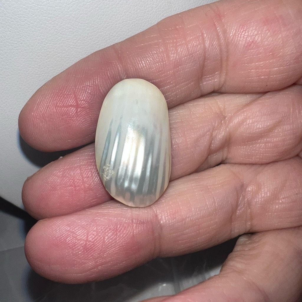 Vintage Vintage Mother Of Pearl Shell Shape Ridged Earrings Size ONE SIZE - 6 Thumbnail