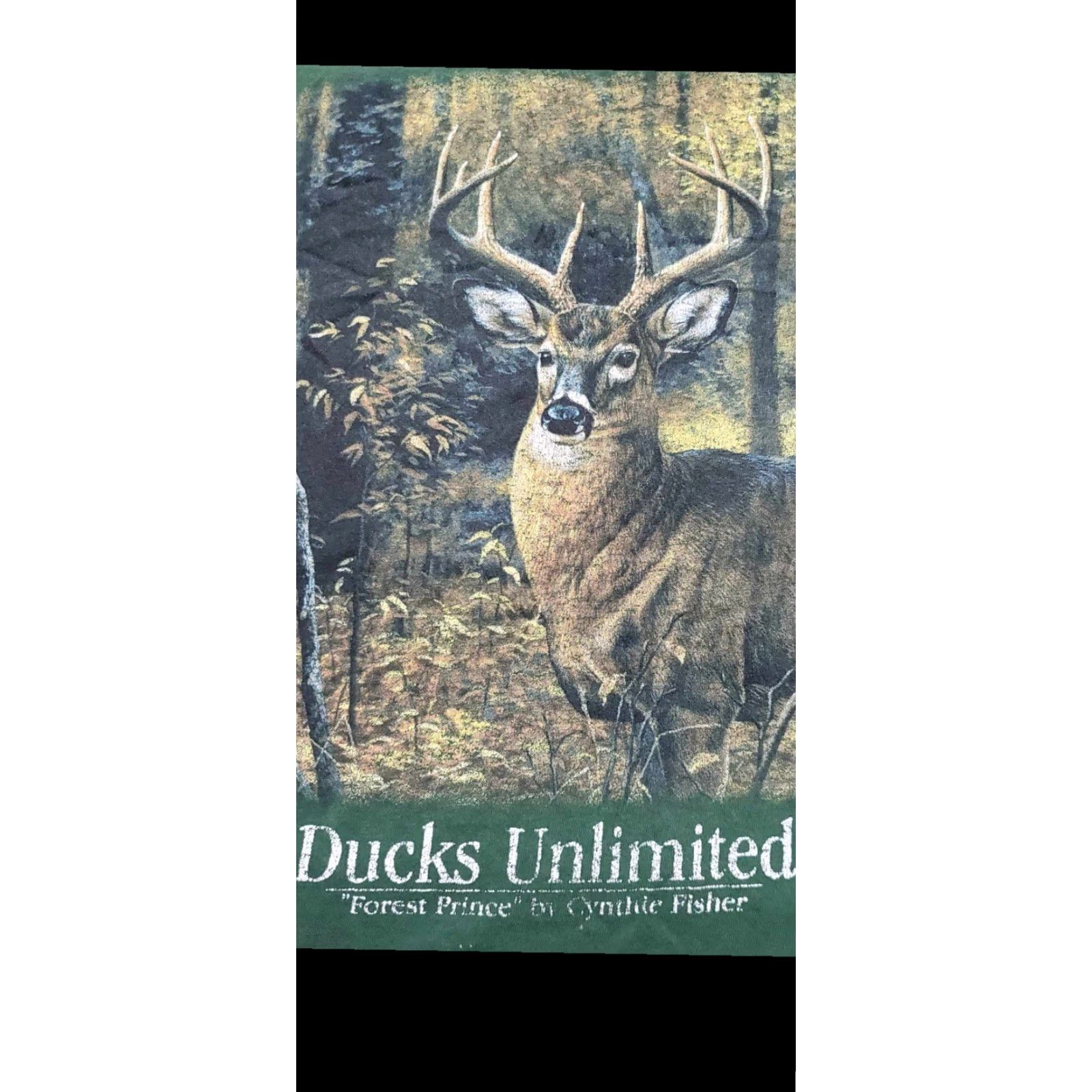Jerzees VINTAGE Ducks Unlimited T Shirt Mens M Green Nature 90s Outdoor Animals Distressed Rare Jerzees Size US M / EU 48-50 / 2 - 5 Thumbnail