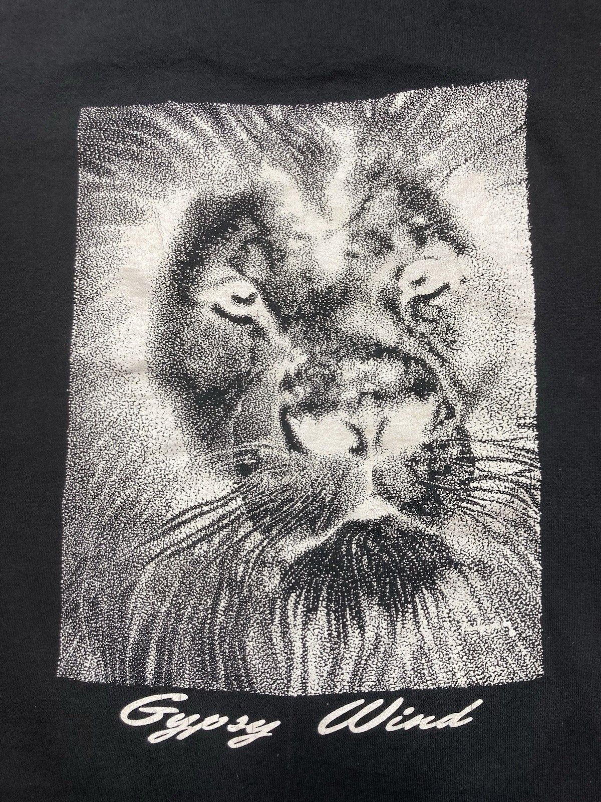 Hanes × Vintage 90s t shirt shook my maracas with gypsy wind boobs large Size US L / EU 52-54 / 3 - 7 Thumbnail