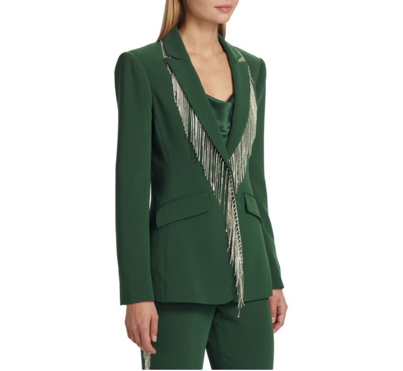 Cinq a Sept CINQ À SEPT Cheyenne Fringe Embellished Blazer size 2 Size XS / US 0-2 / IT 36-38 - 4 Thumbnail