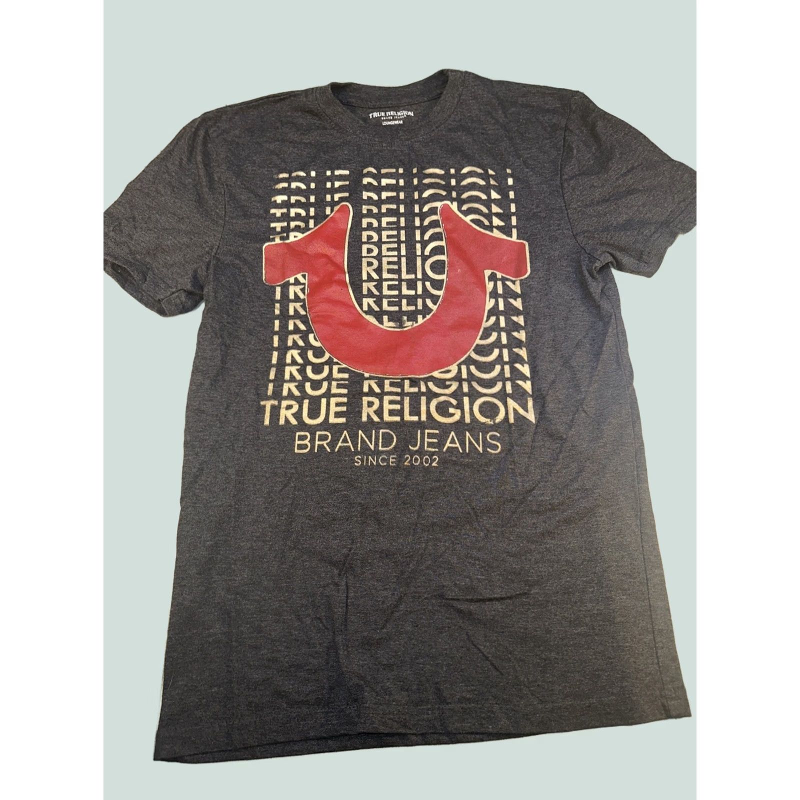 True Religion True Religion Mens Small Grey Graphic T Shirt Loungewear Casual Streetwear Size US S / EU 44-46 / 1 - 1 Thumbnail