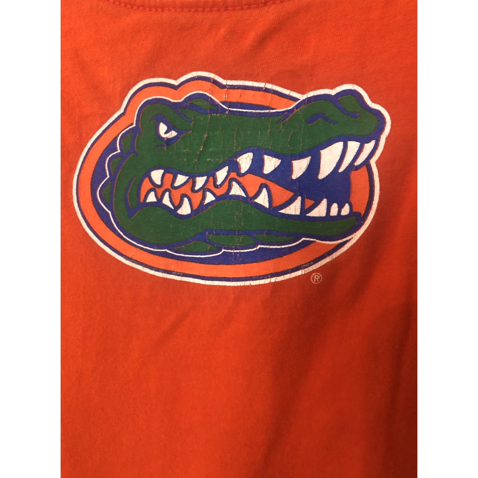 Nike **Nike Men's Medium Orange Florida Gators The Swamp Crew Neck T-Shirt** User: **Nike Men's Medium Orange Florida Gators The Swamp T-Shirt** Size US M / EU 48-50 / 2 - 5 Thumbnail